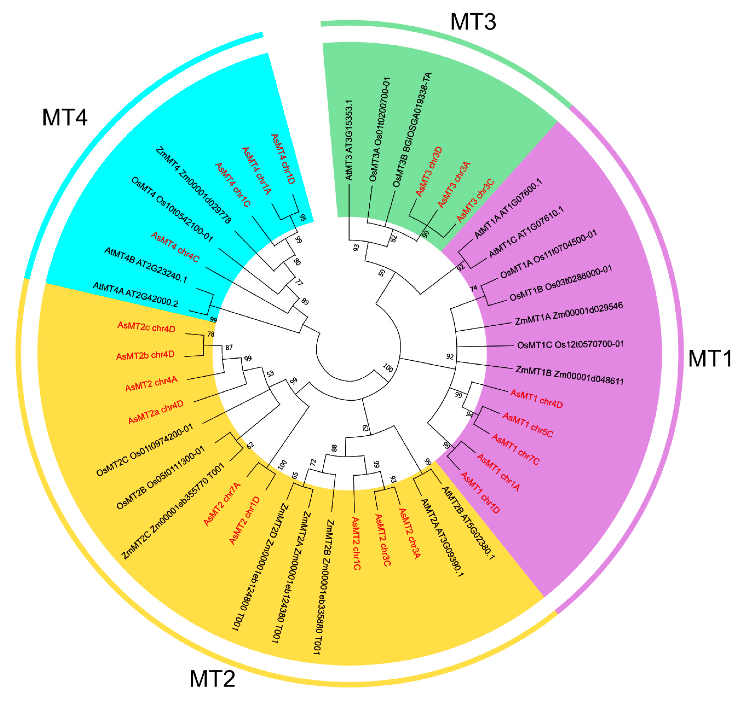 Antioxidants 12 01865 g005