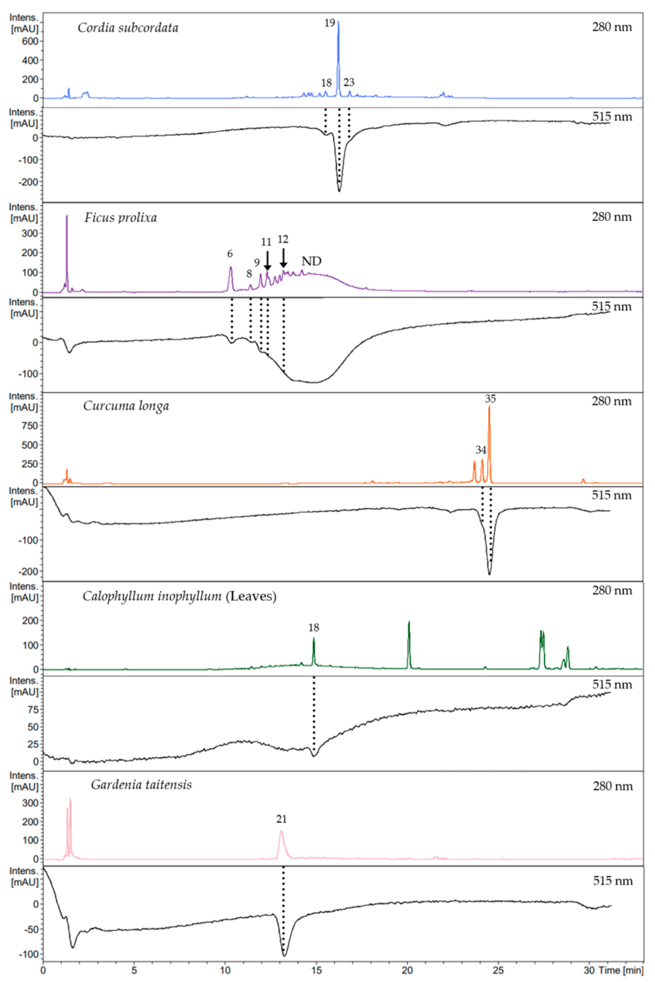 Antioxidants 12 01870 g003