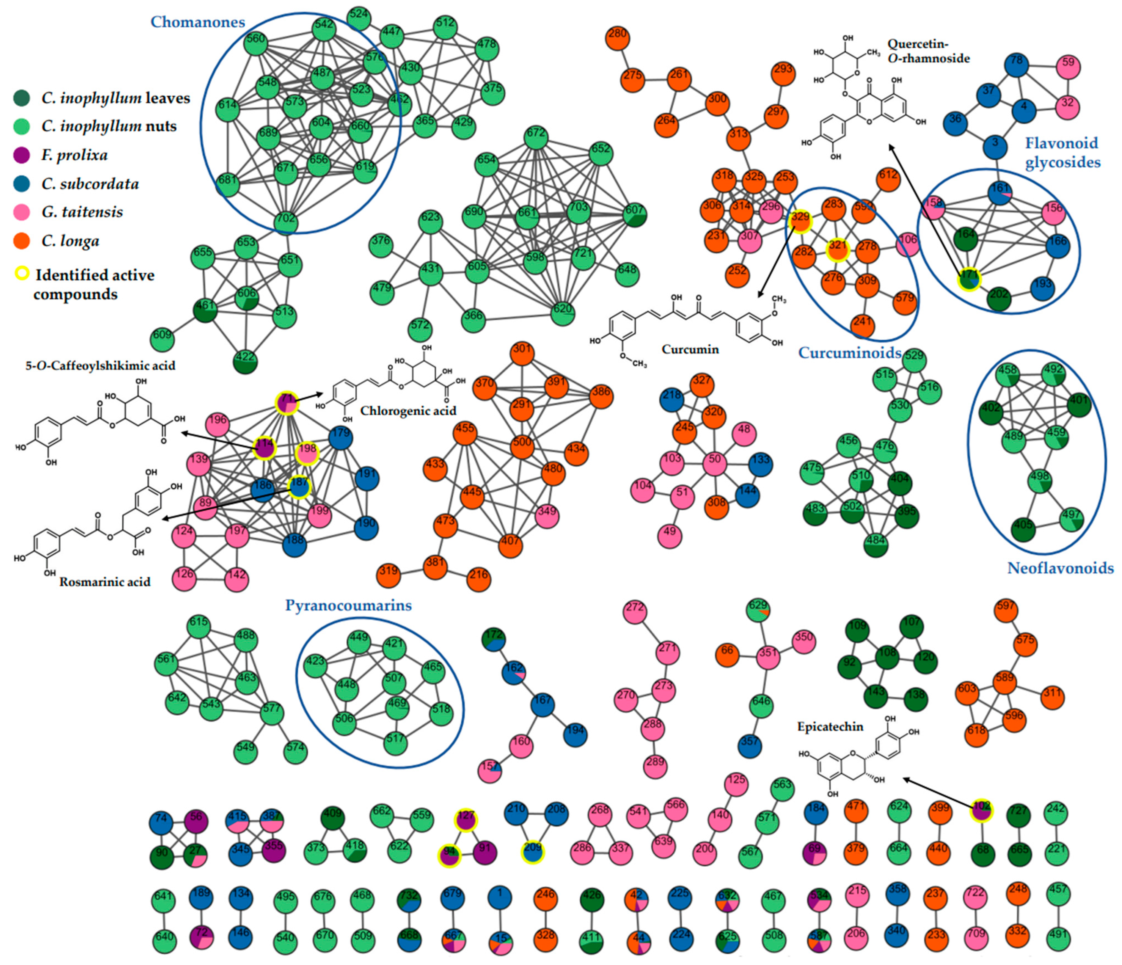 Antioxidants 12 01870 g004