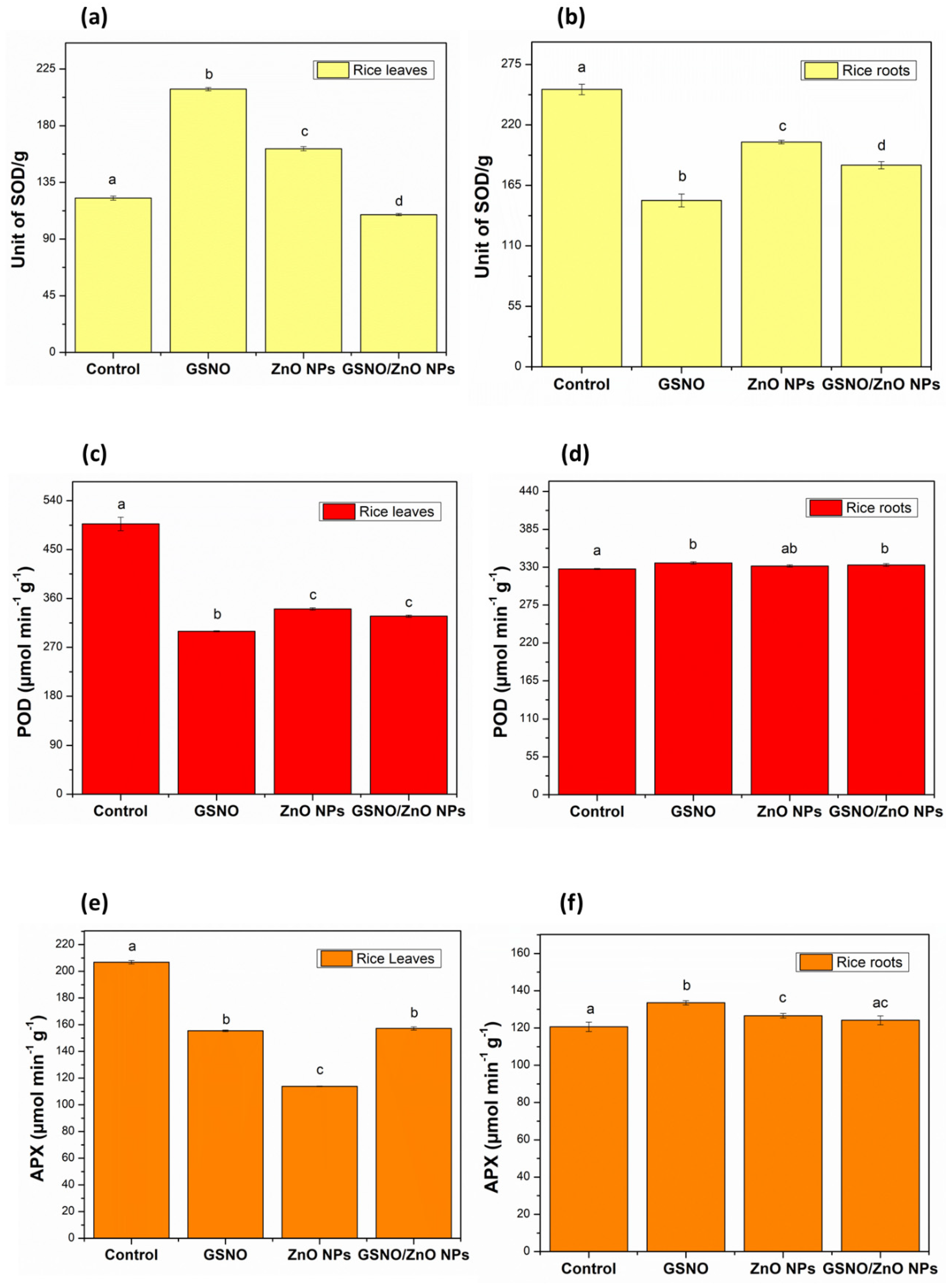 Antioxidants 12 01871 g003