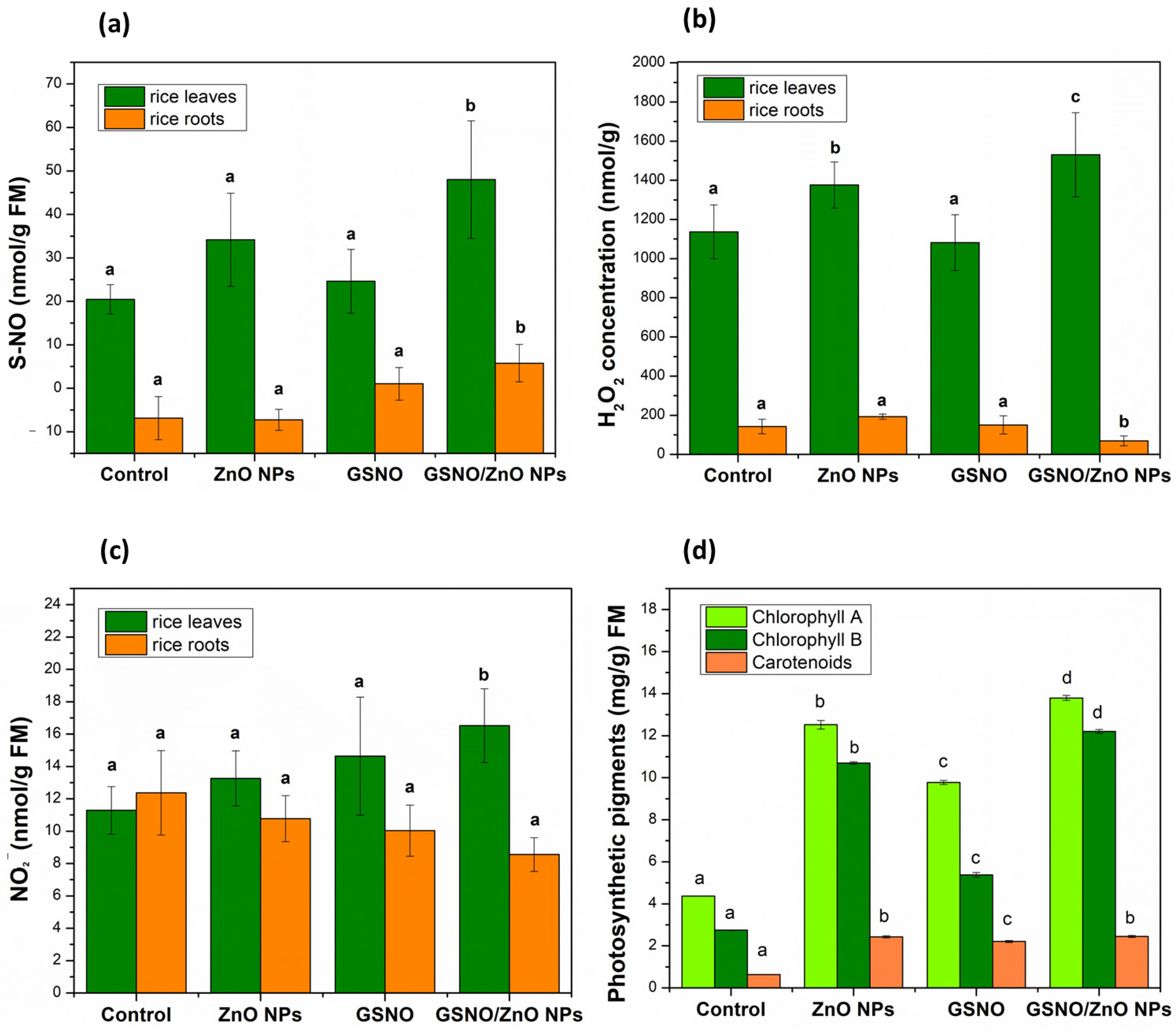 Antioxidants 12 01871 g004