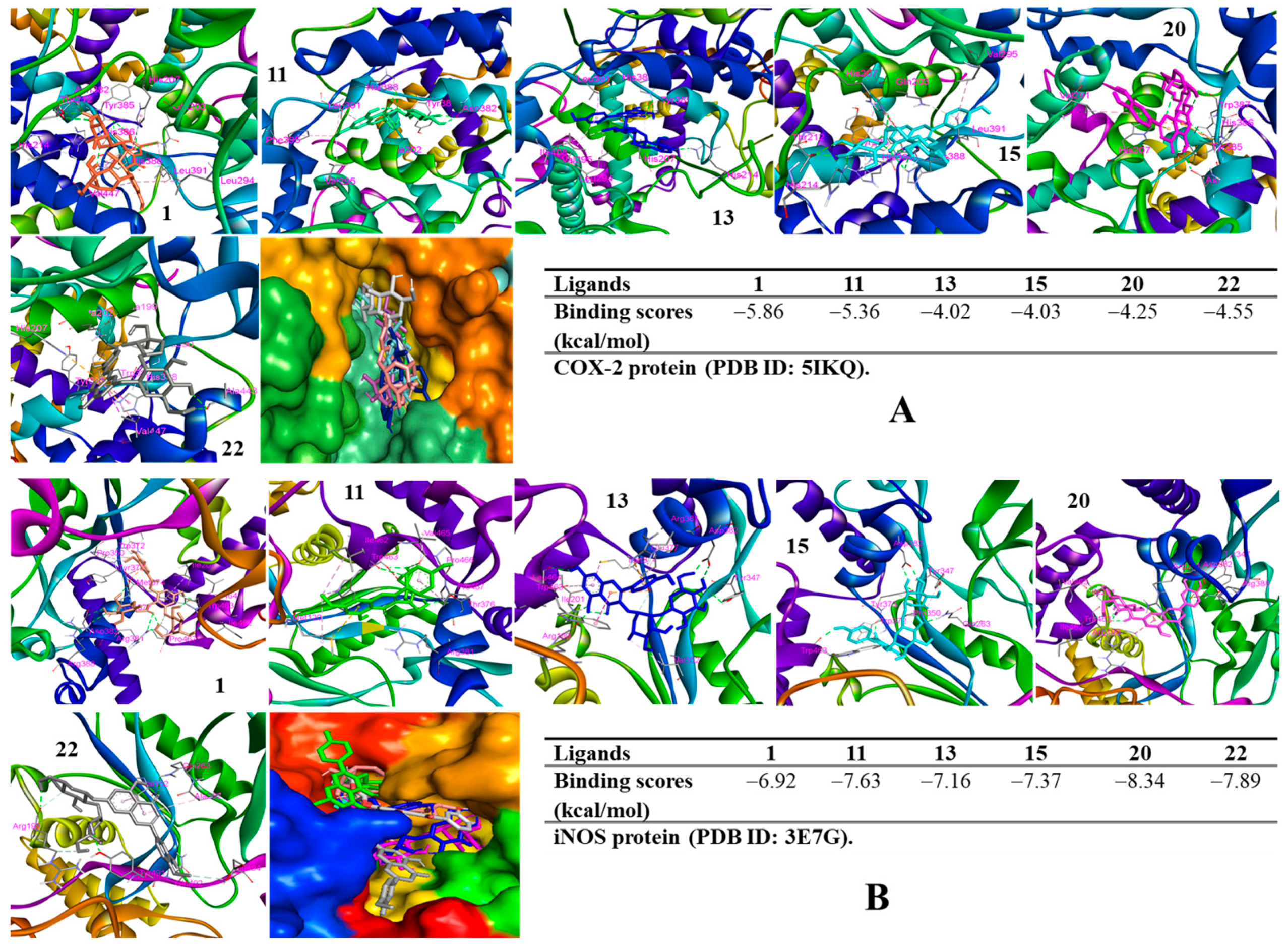 Antioxidants 12 01876 g008