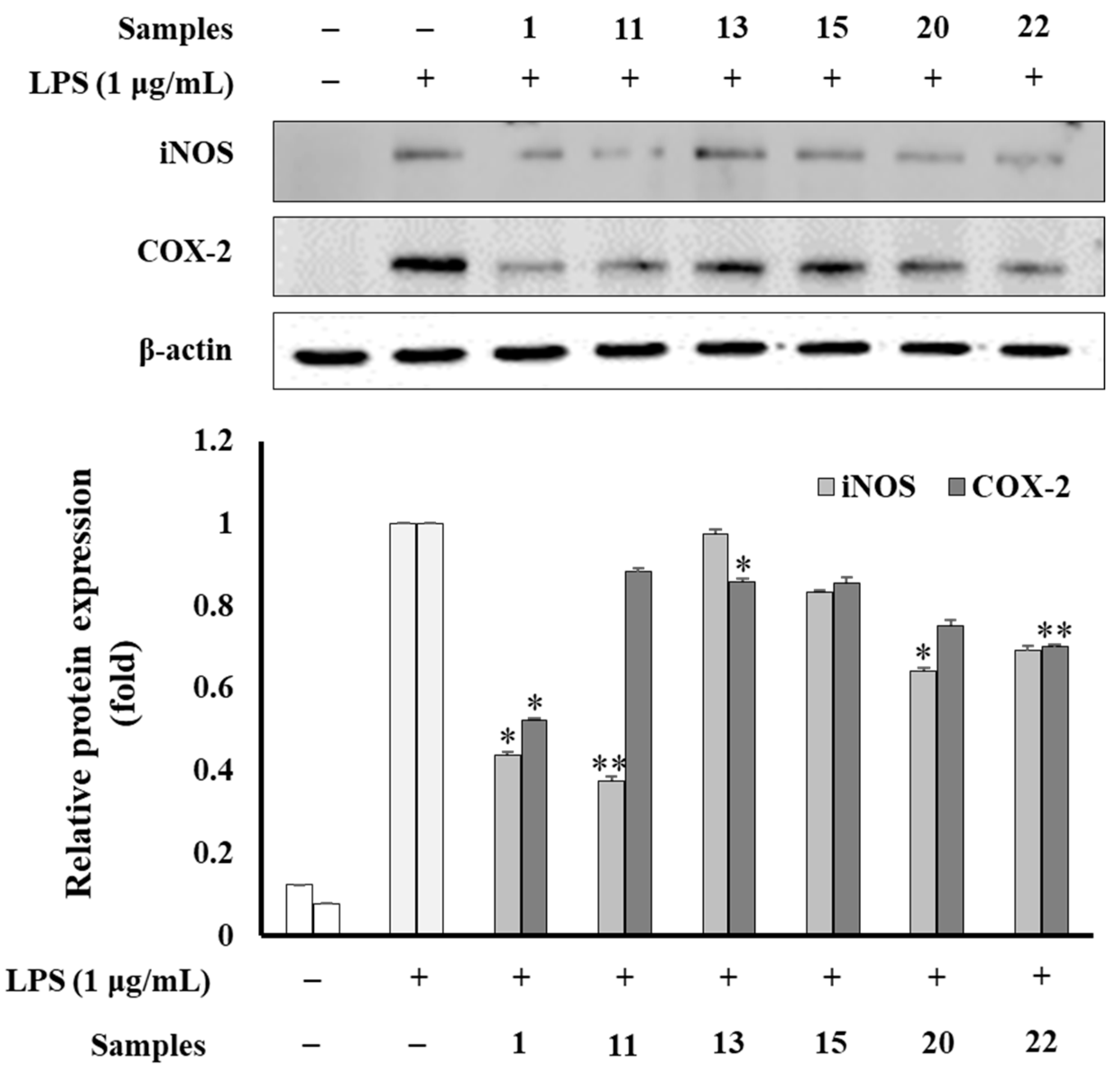 Antioxidants 12 01876 g009