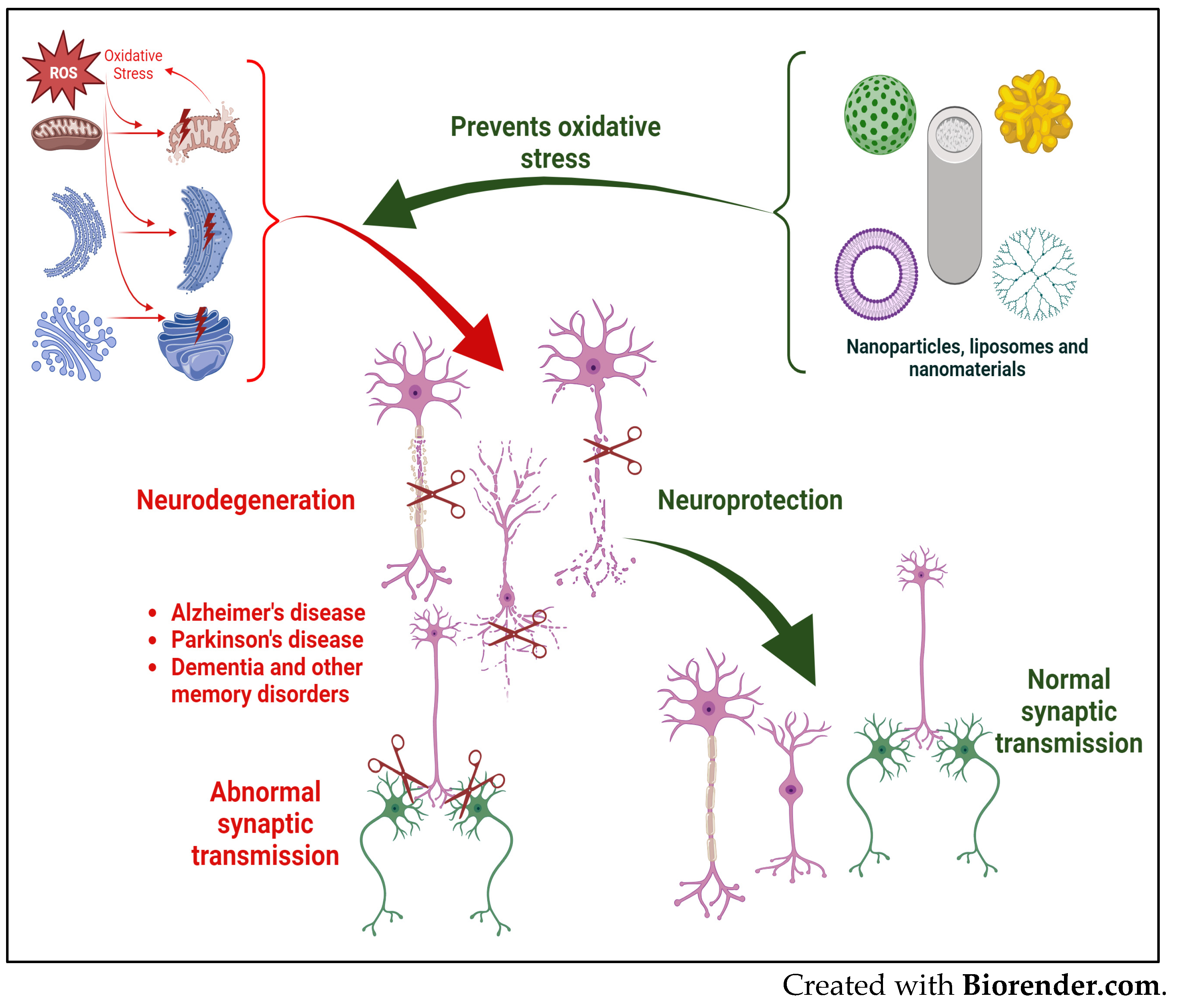 Antioxidants 12 01877 g003