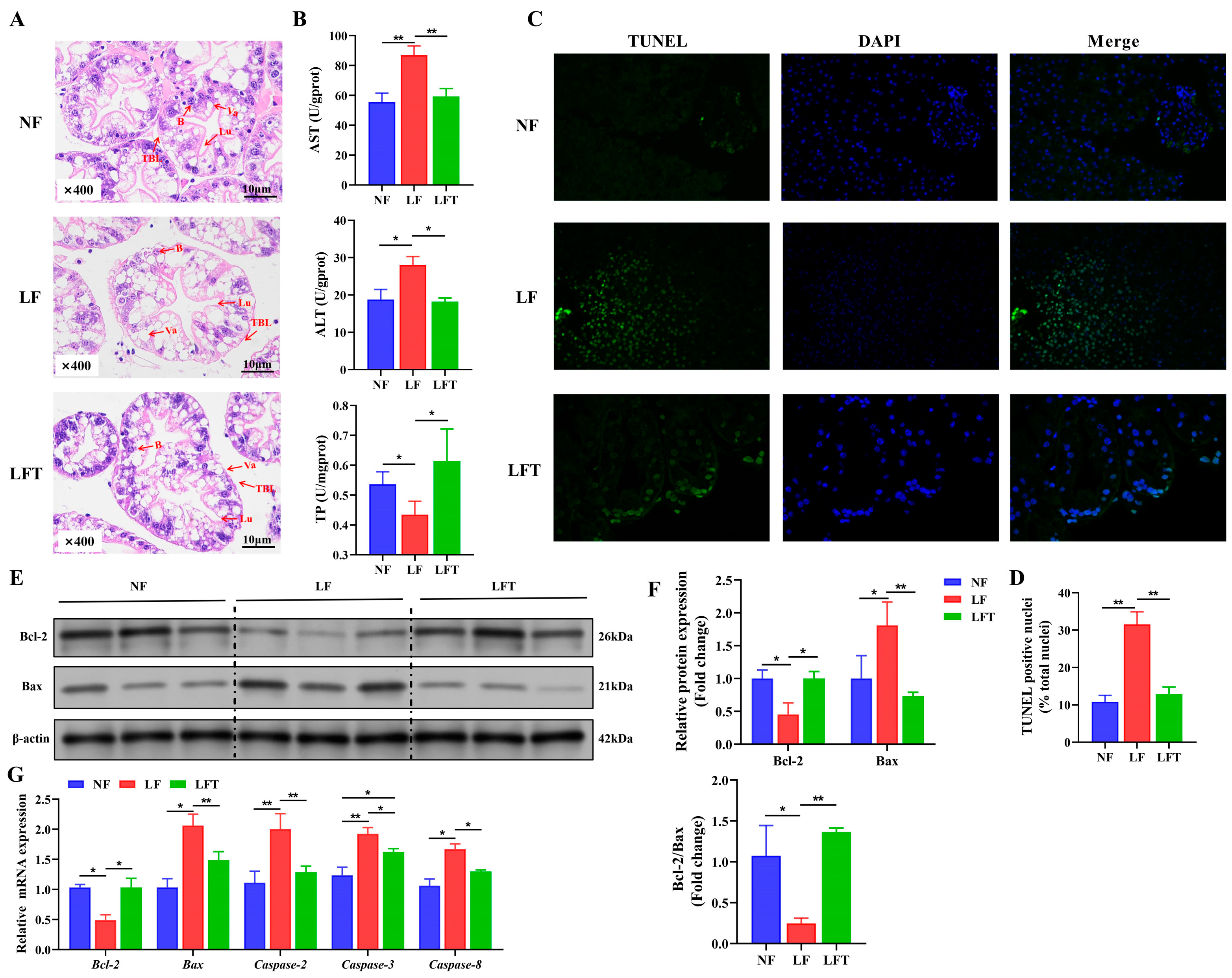 Antioxidants 12 01879 g001
