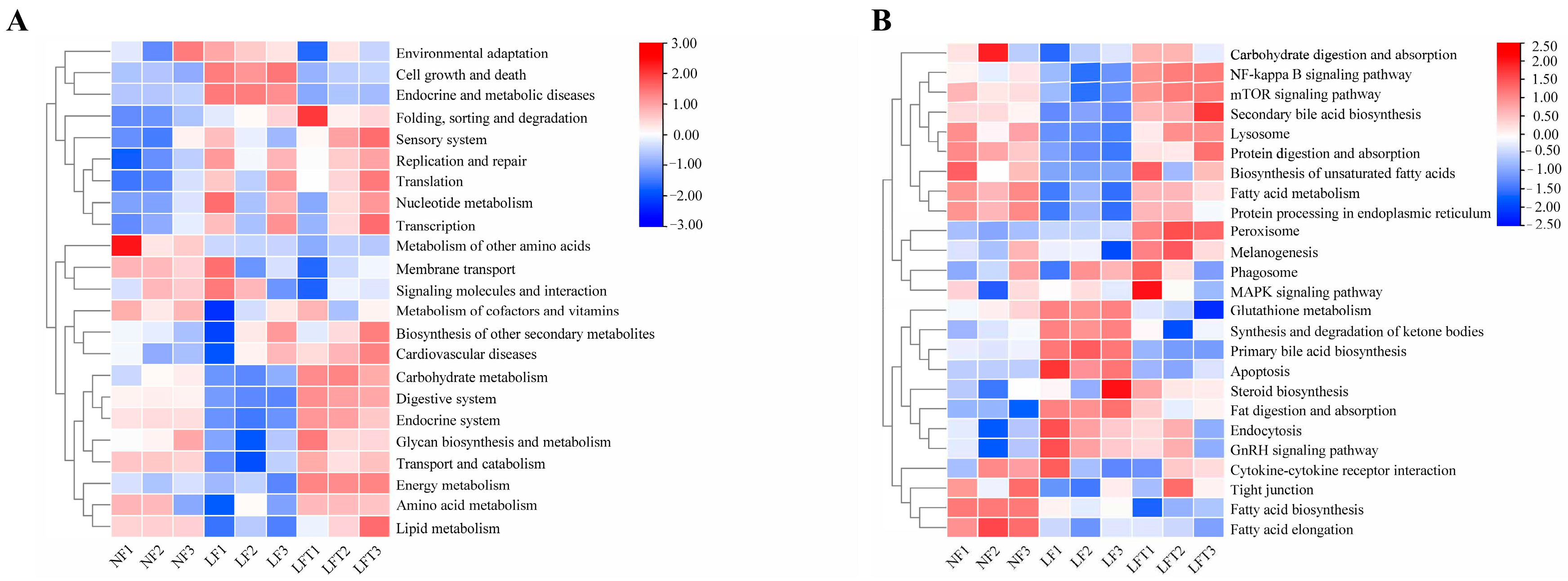 Antioxidants 12 01879 g006