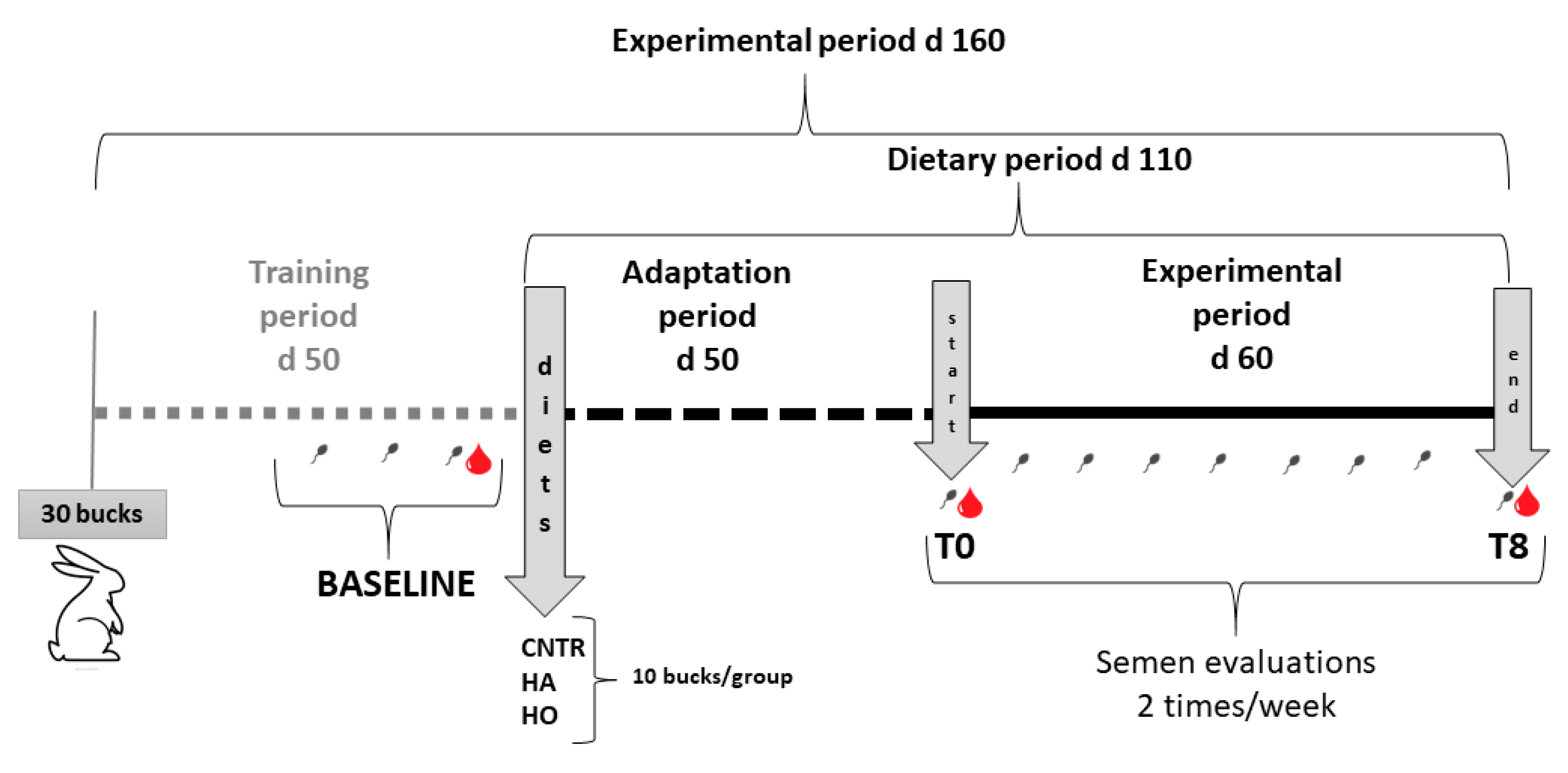 Antioxidants 12 01880 g001