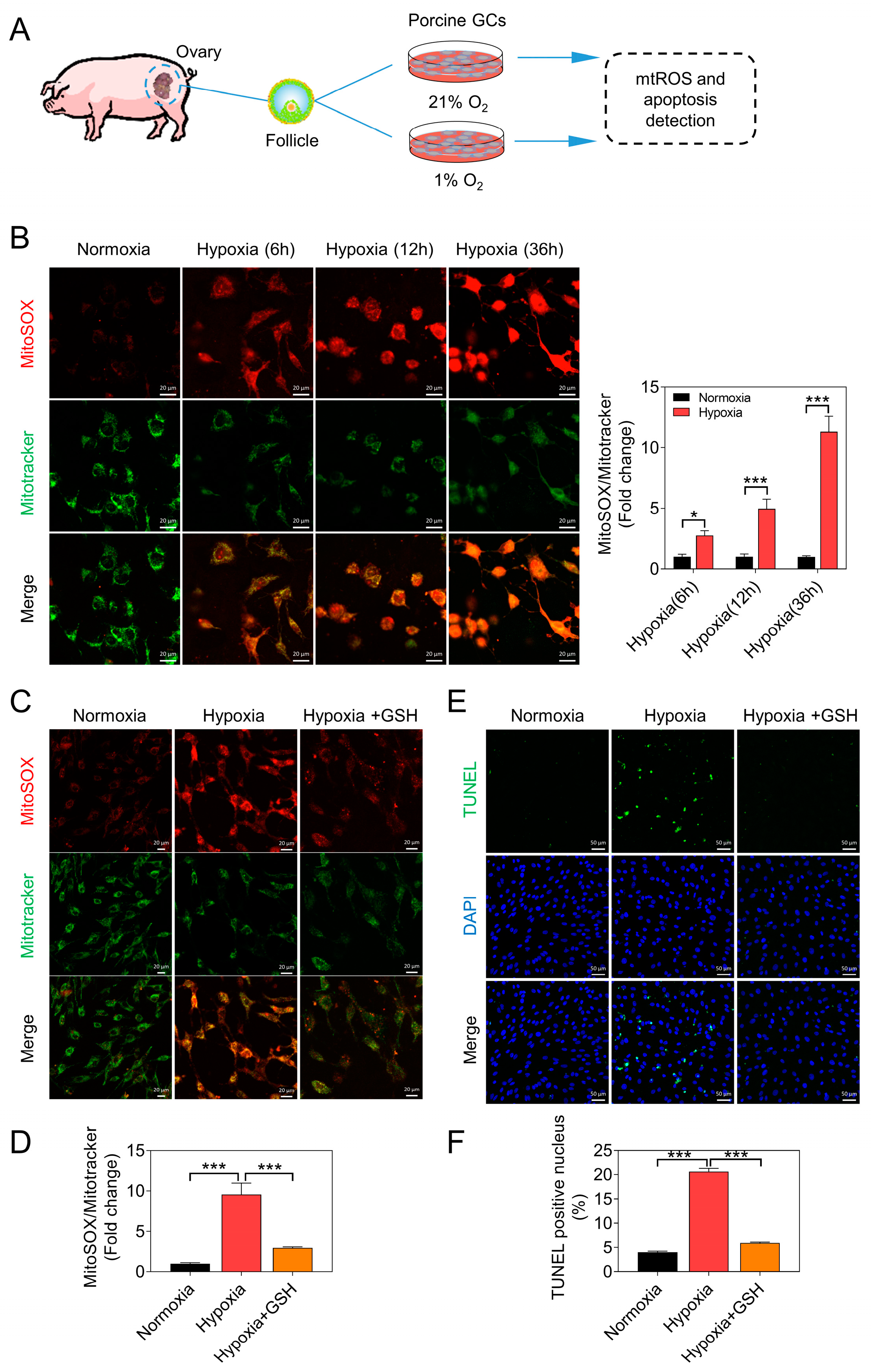 Antioxidants 12 01881 g001