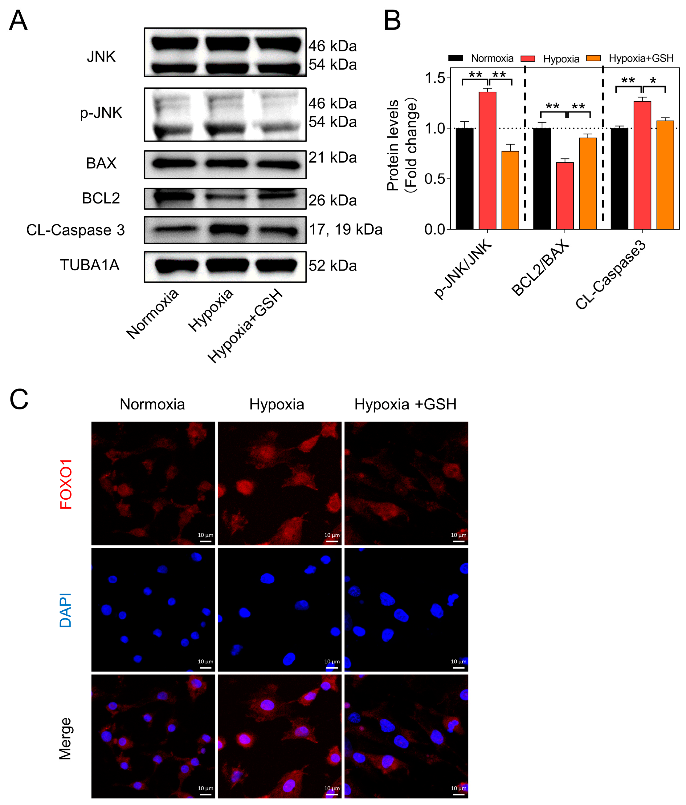 Antioxidants 12 01881 g002