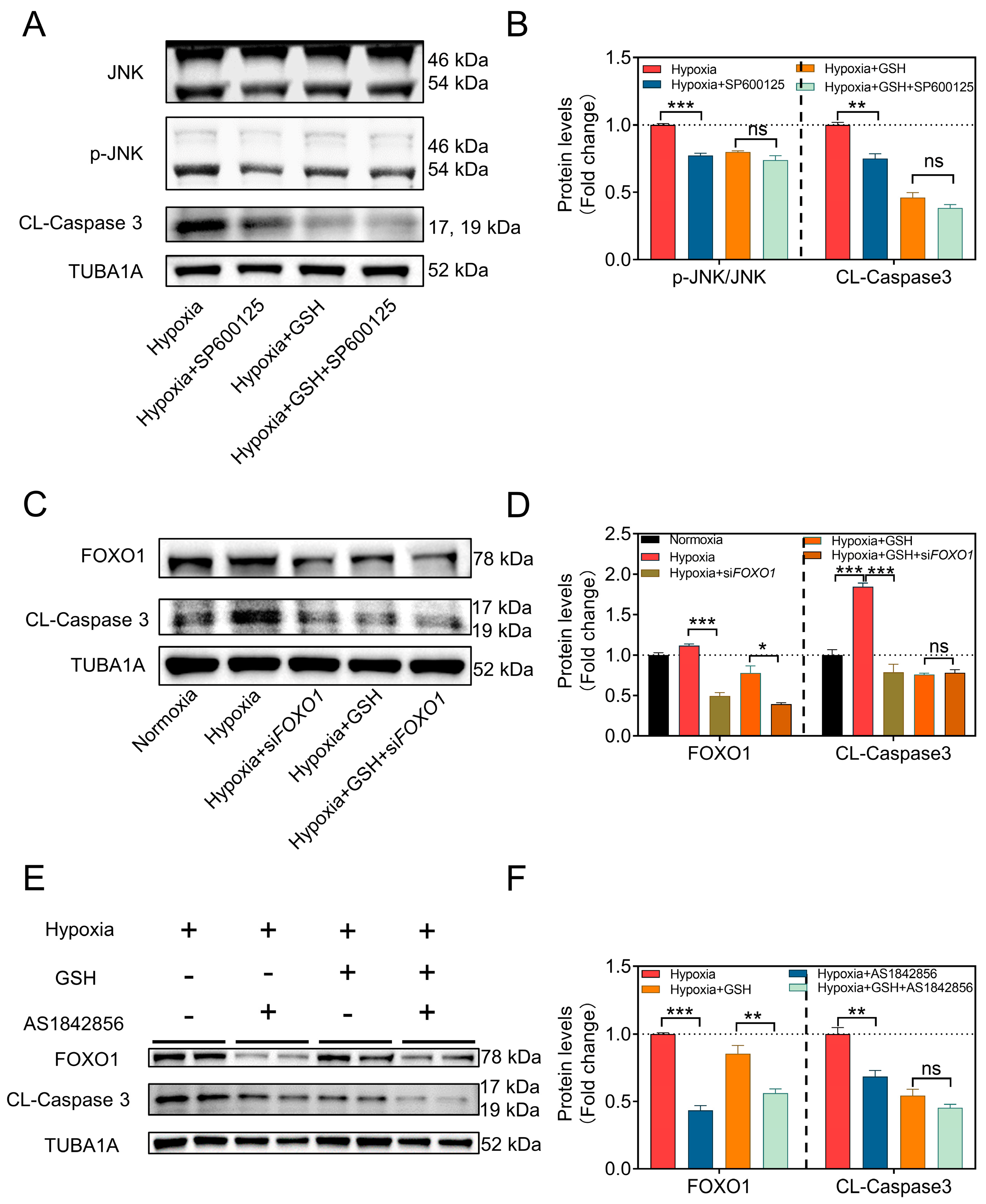 Antioxidants 12 01881 g003