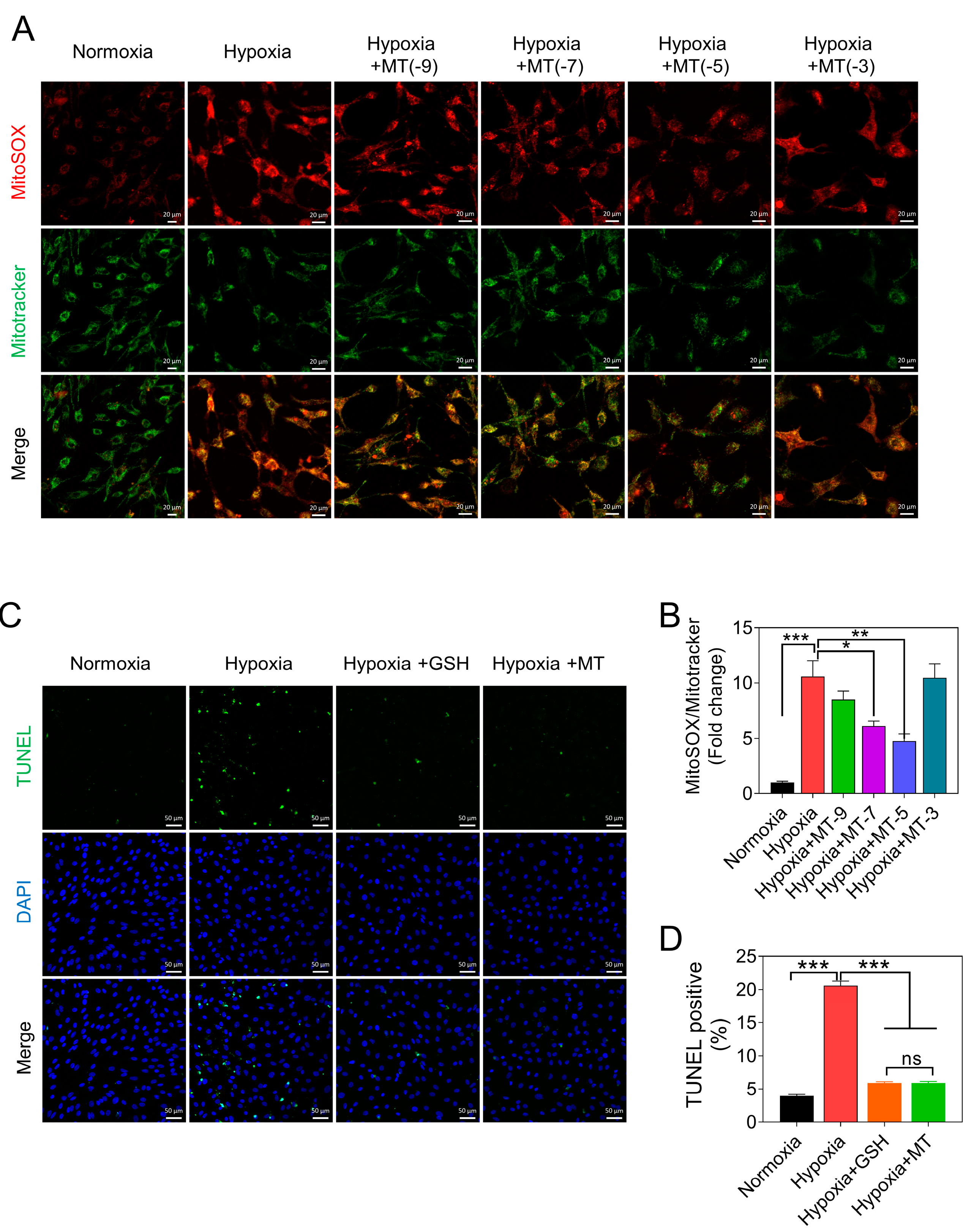 Antioxidants 12 01881 g004