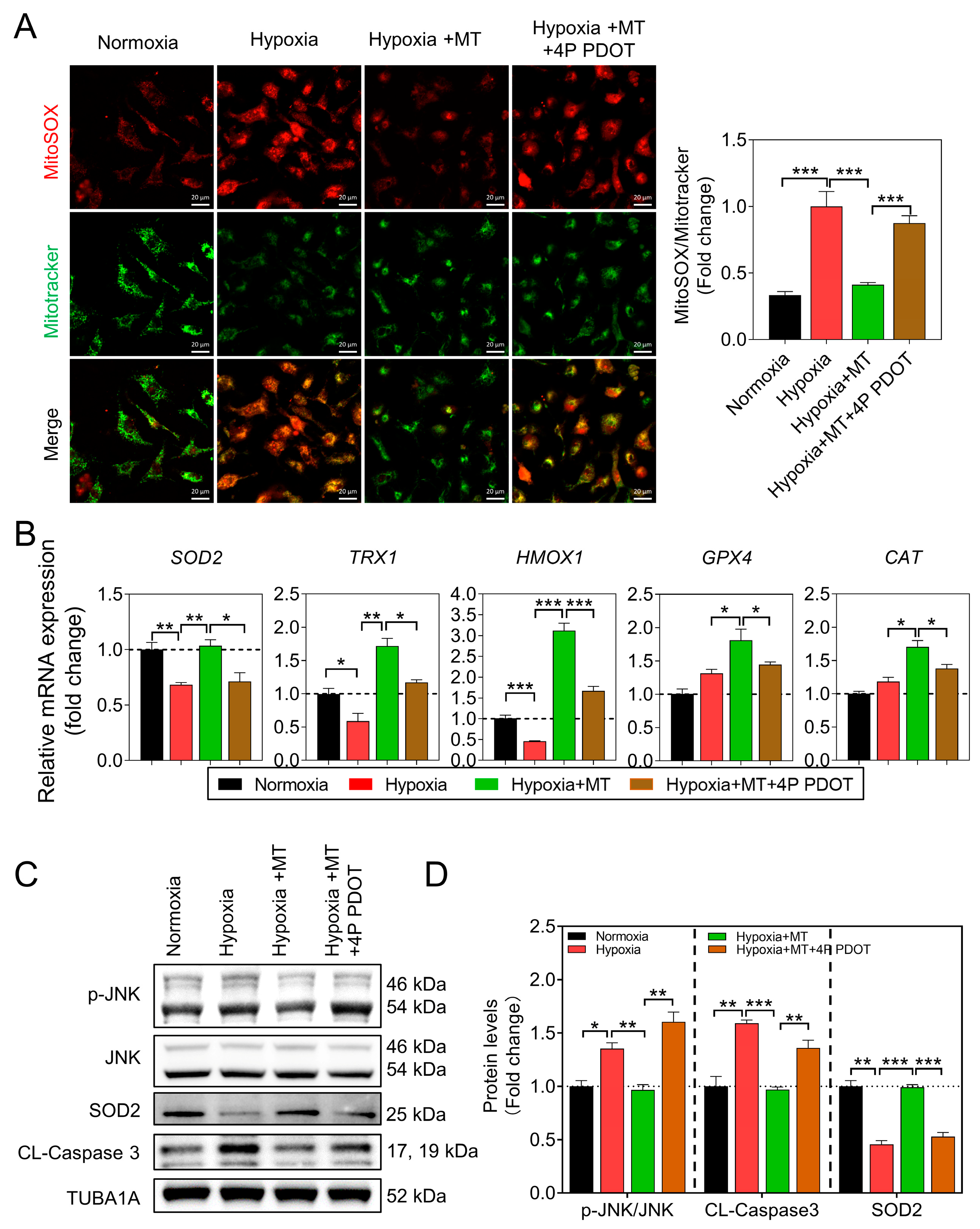 Antioxidants 12 01881 g005