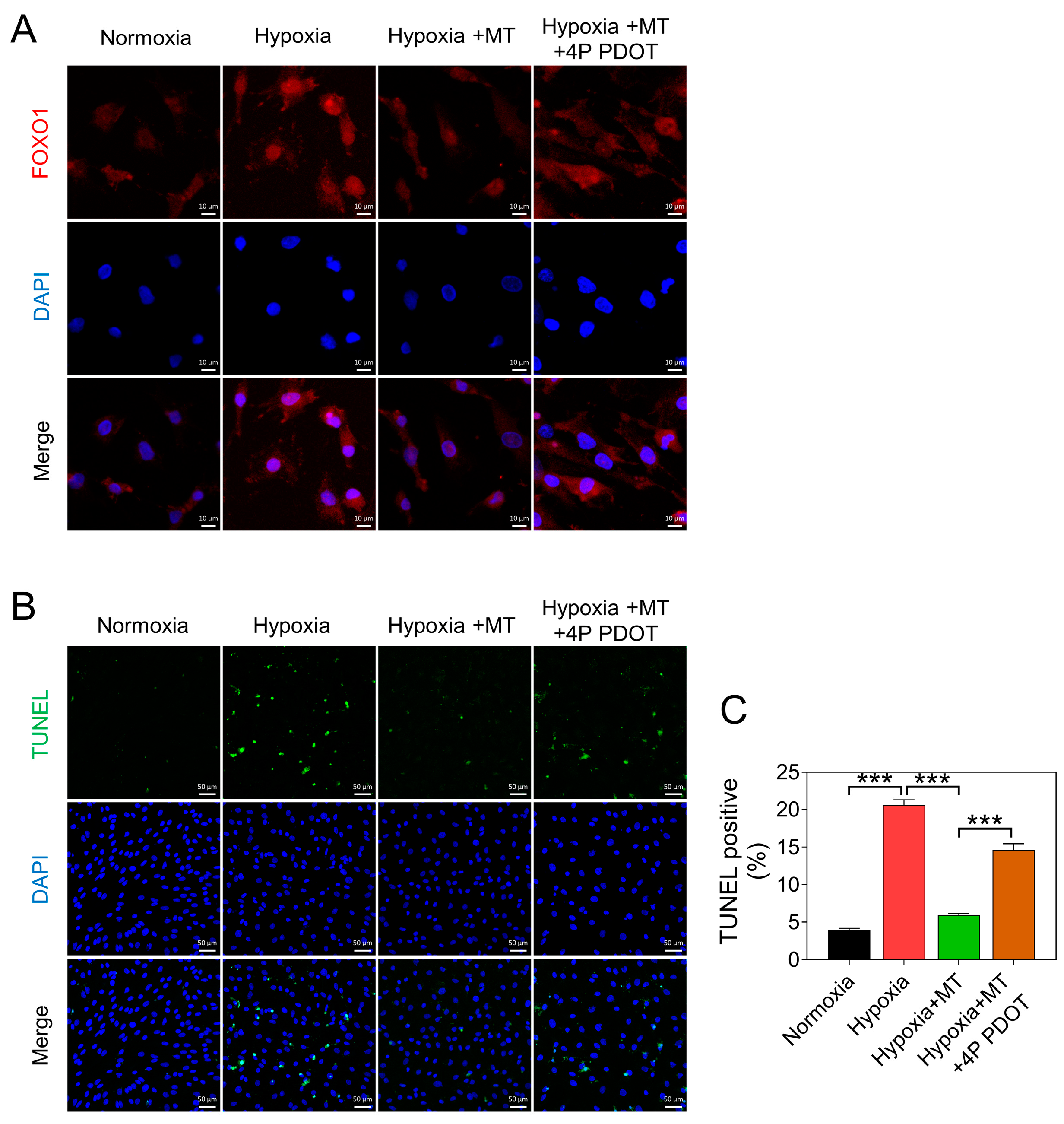 Antioxidants 12 01881 g006