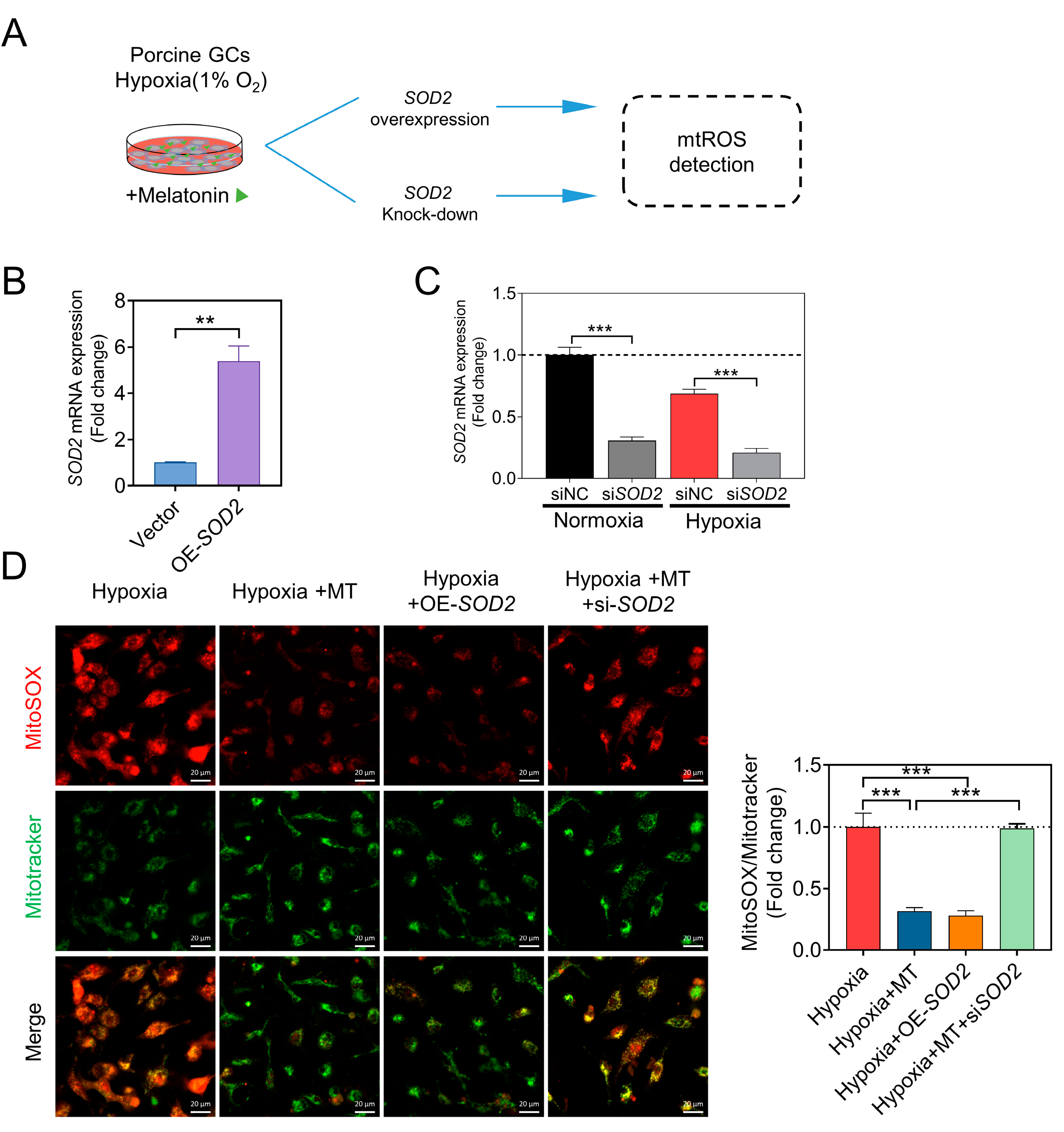 Antioxidants 12 01881 g007