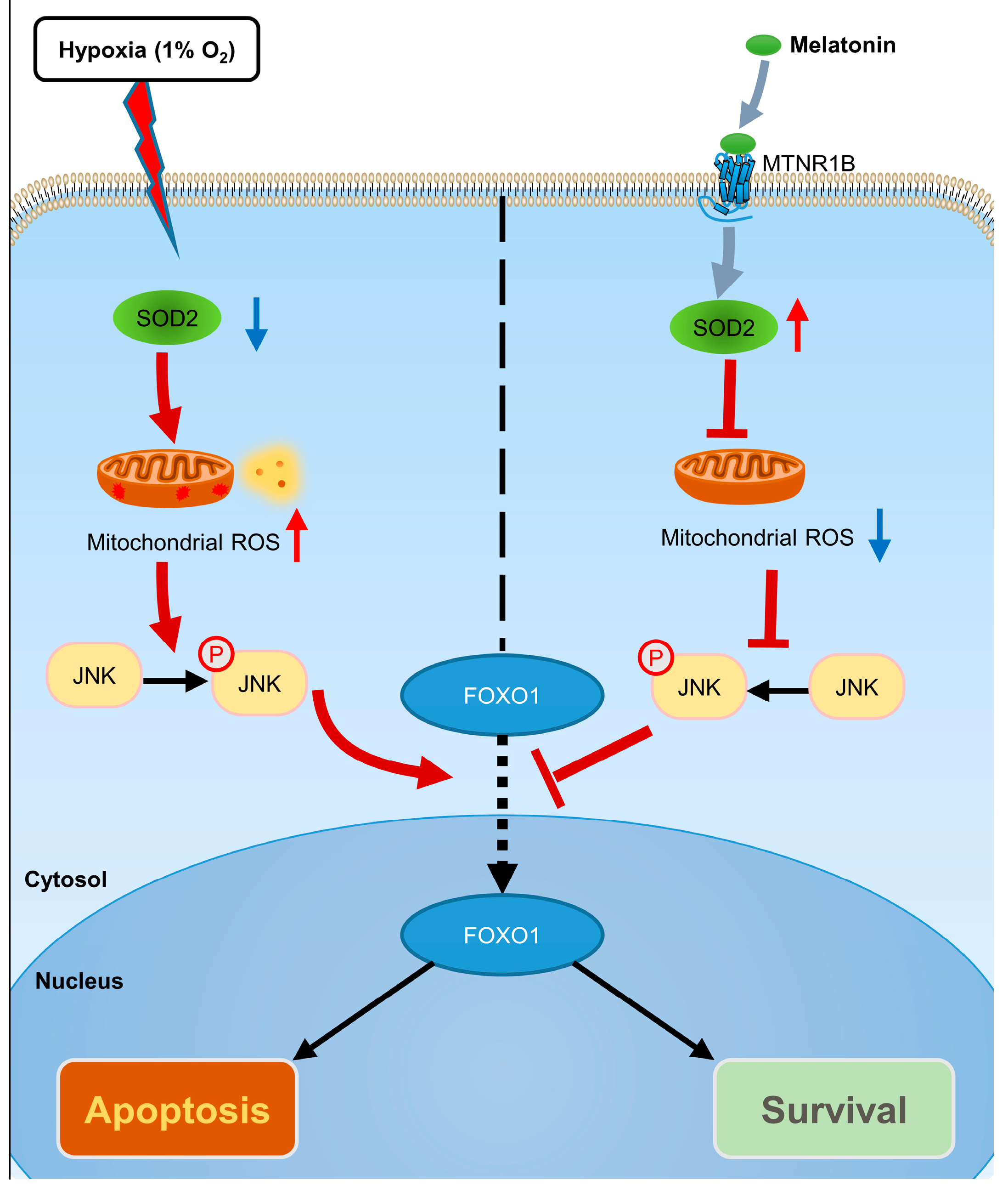 Antioxidants 12 01881 g009