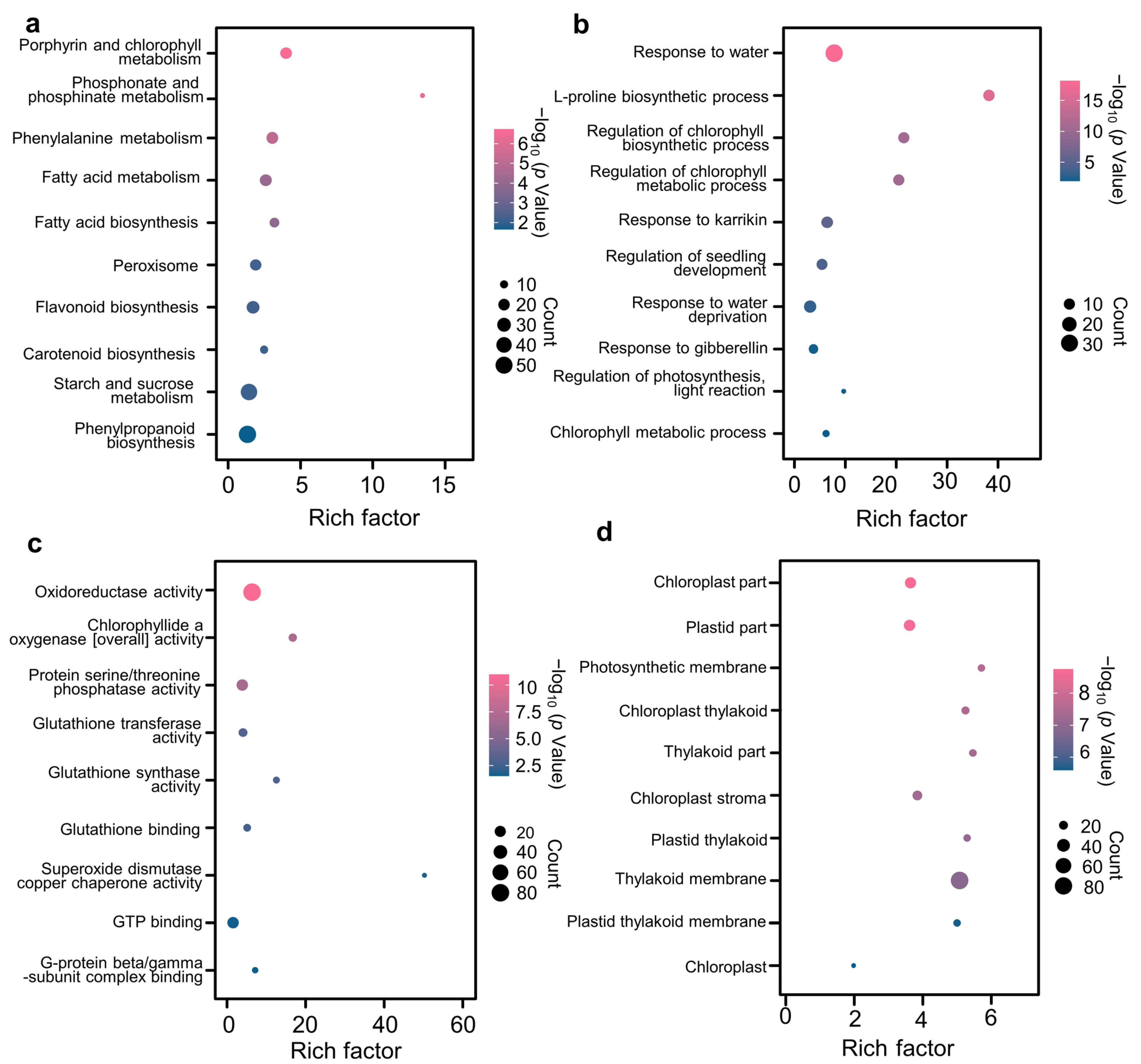 Antioxidants 12 01884 g005
