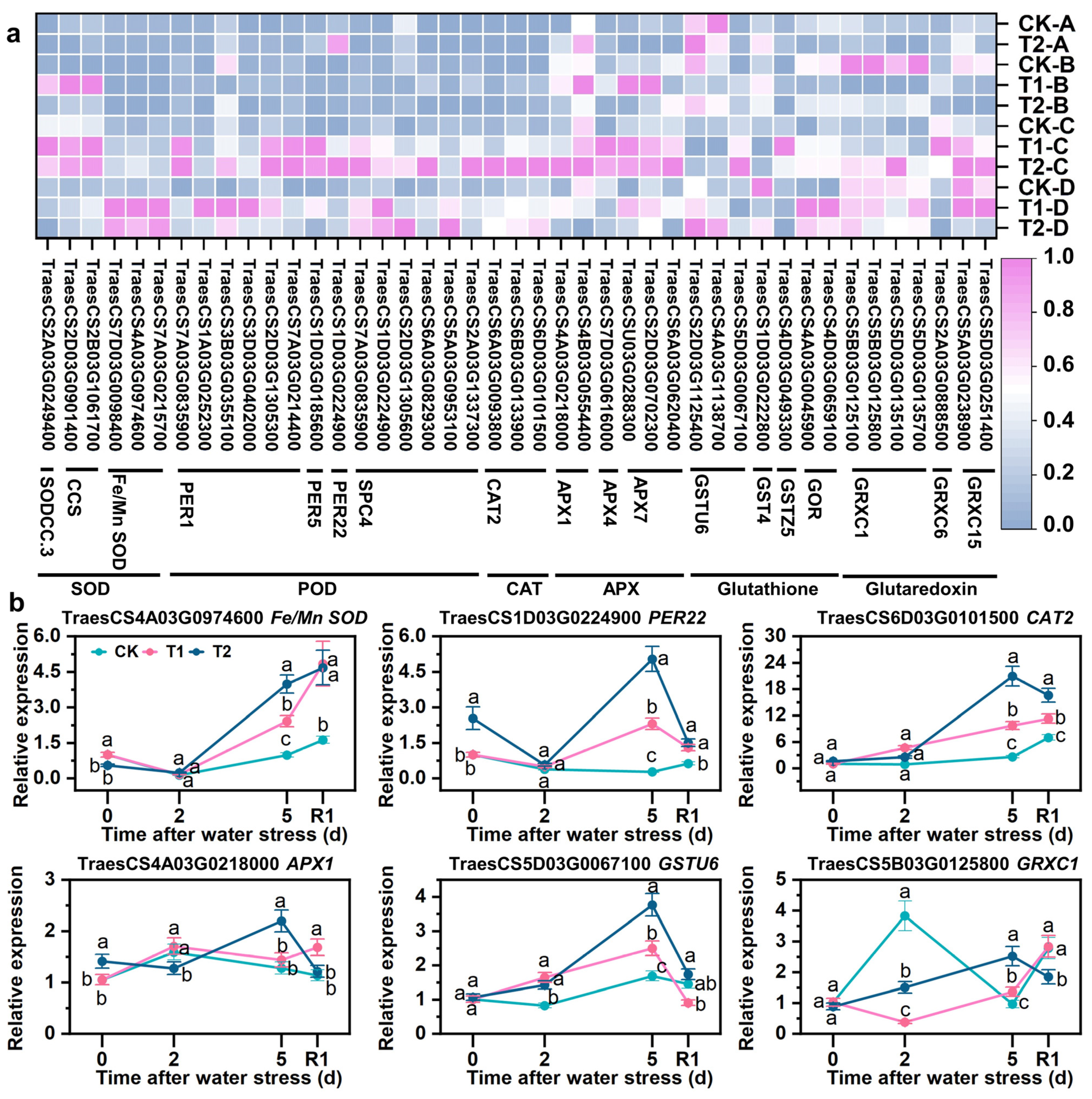 Antioxidants 12 01884 g006