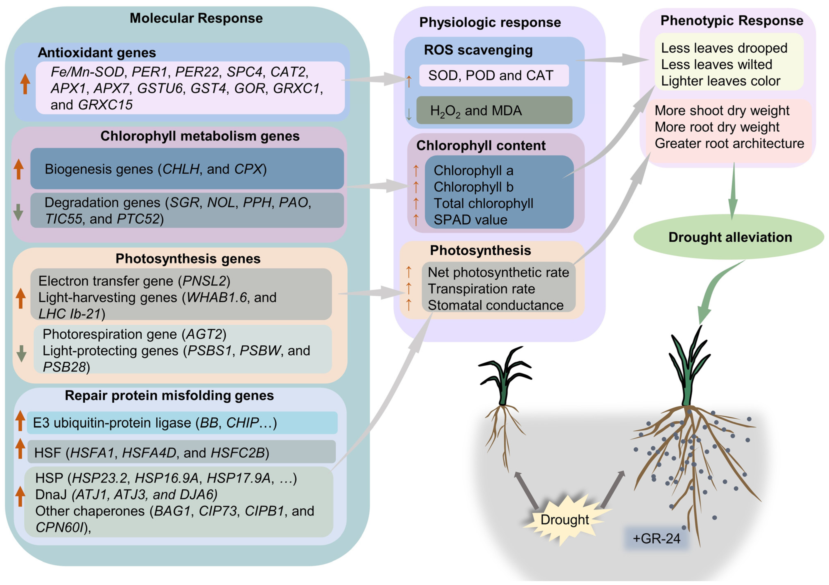 Antioxidants 12 01884 g009