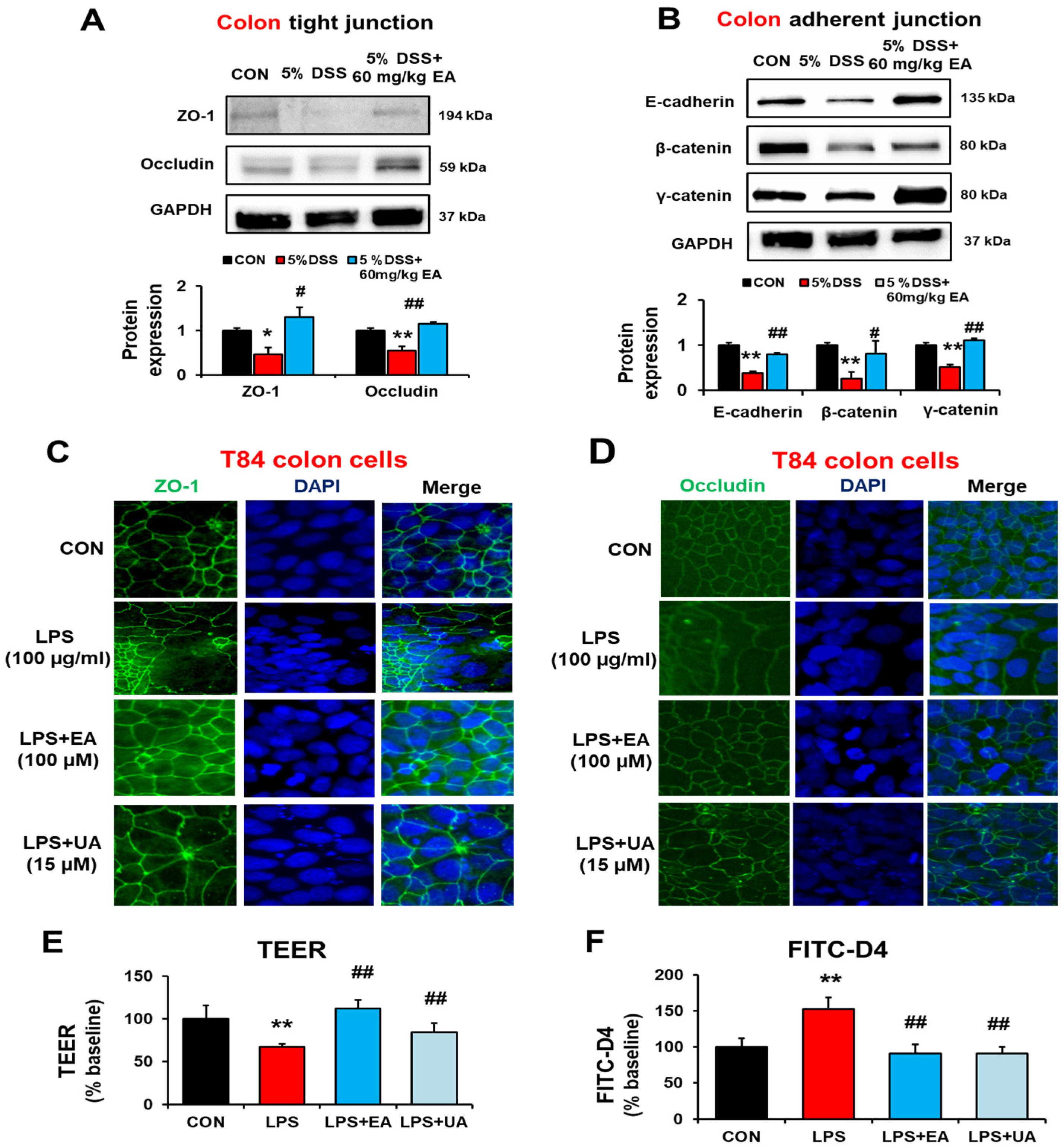 Antioxidants 12 01886 g005