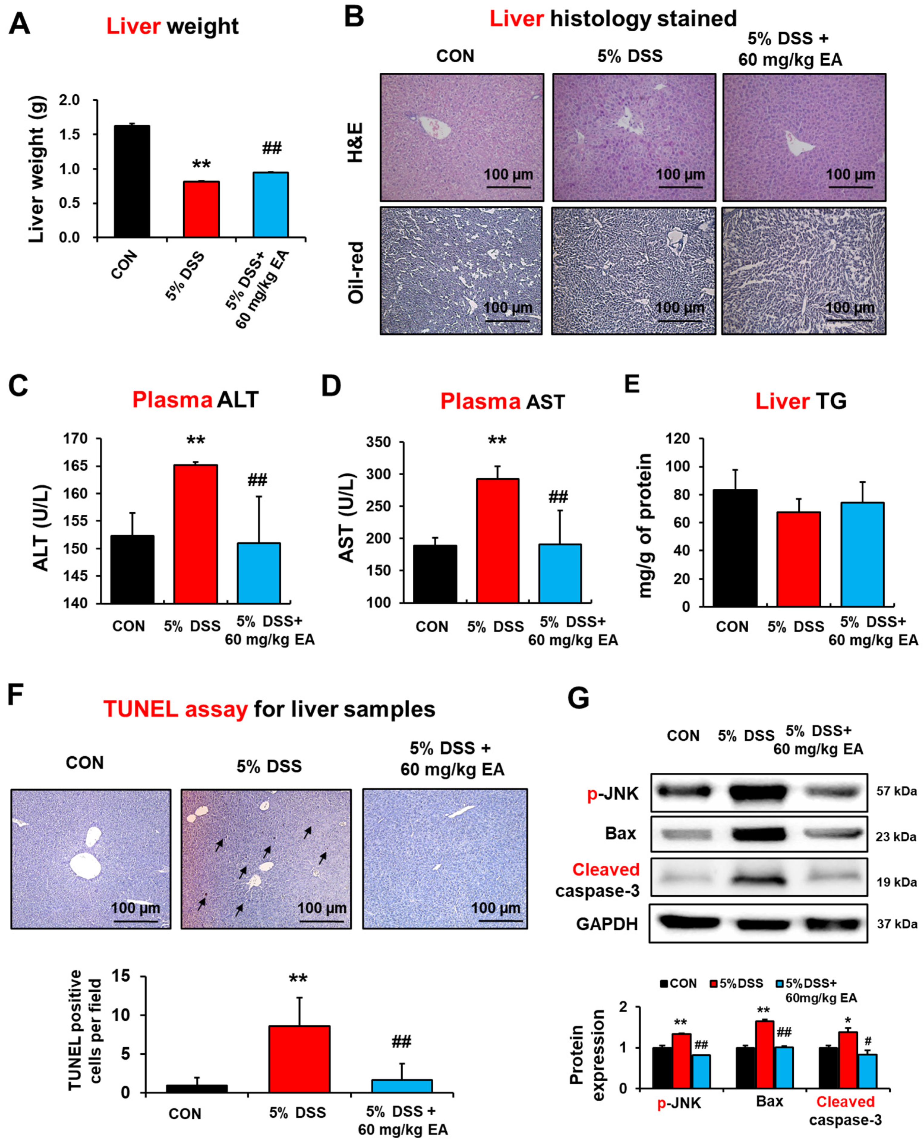 Antioxidants 12 01886 g006