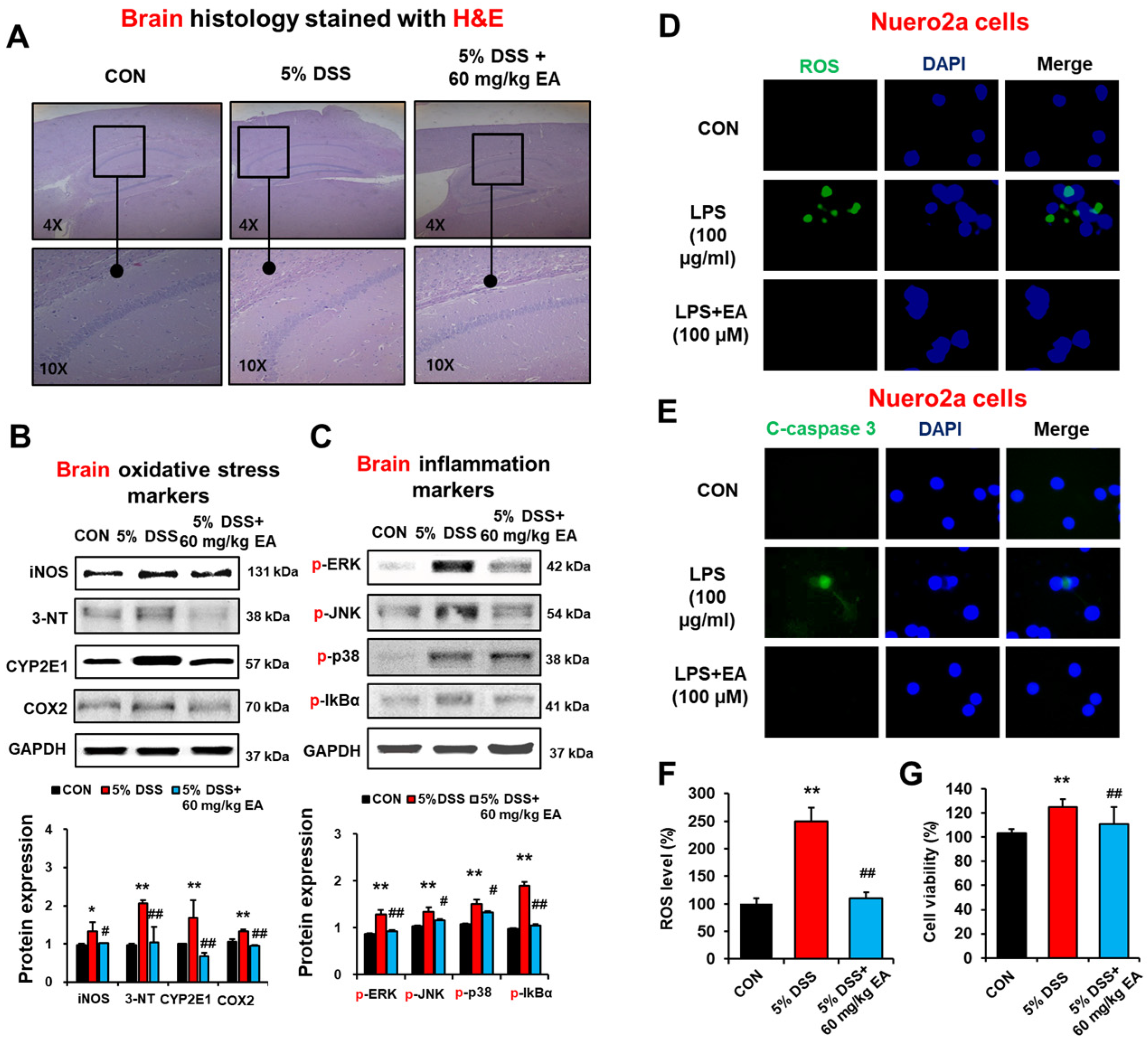 Antioxidants 12 01886 g008