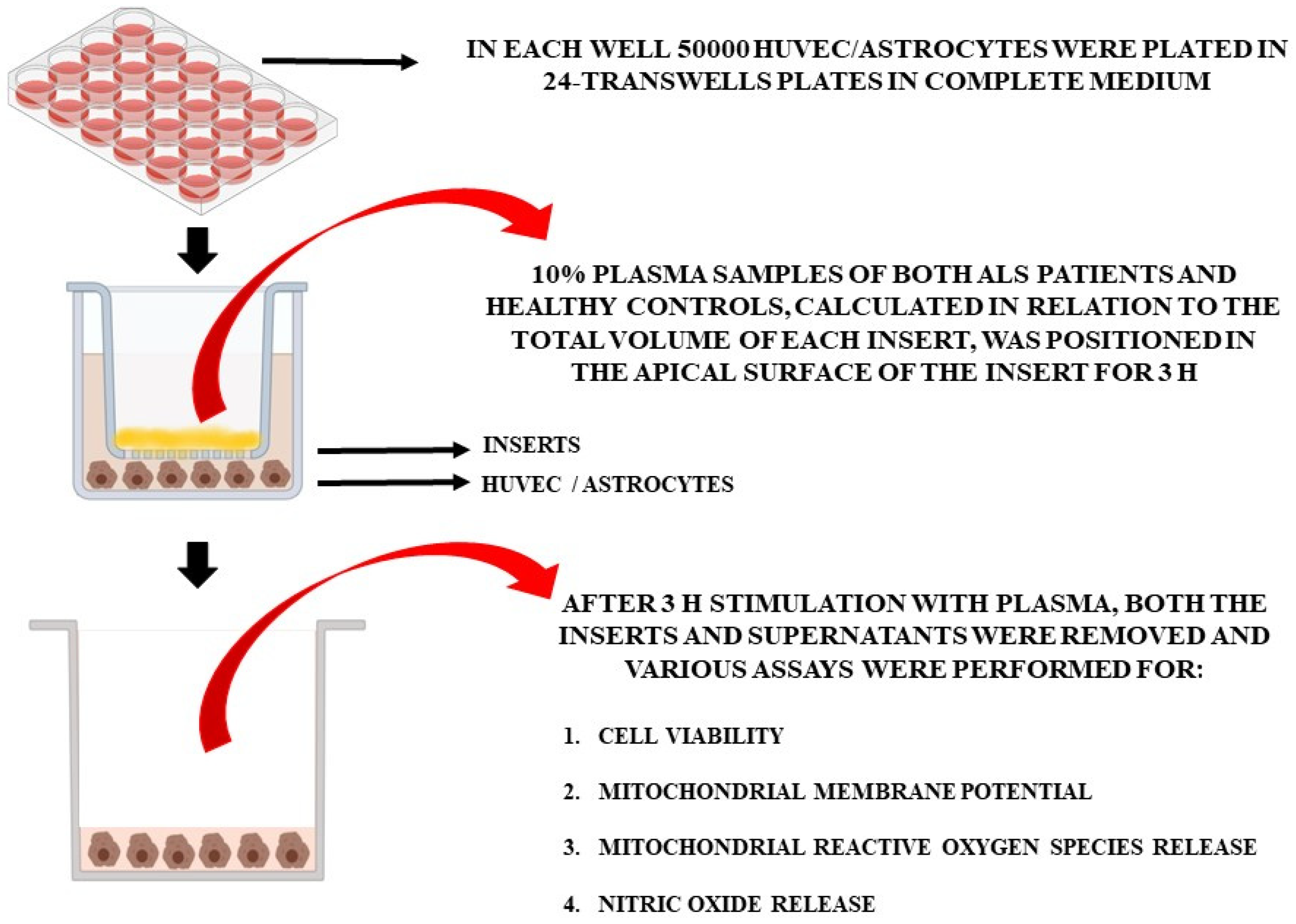 Antioxidants 12 01887 g001