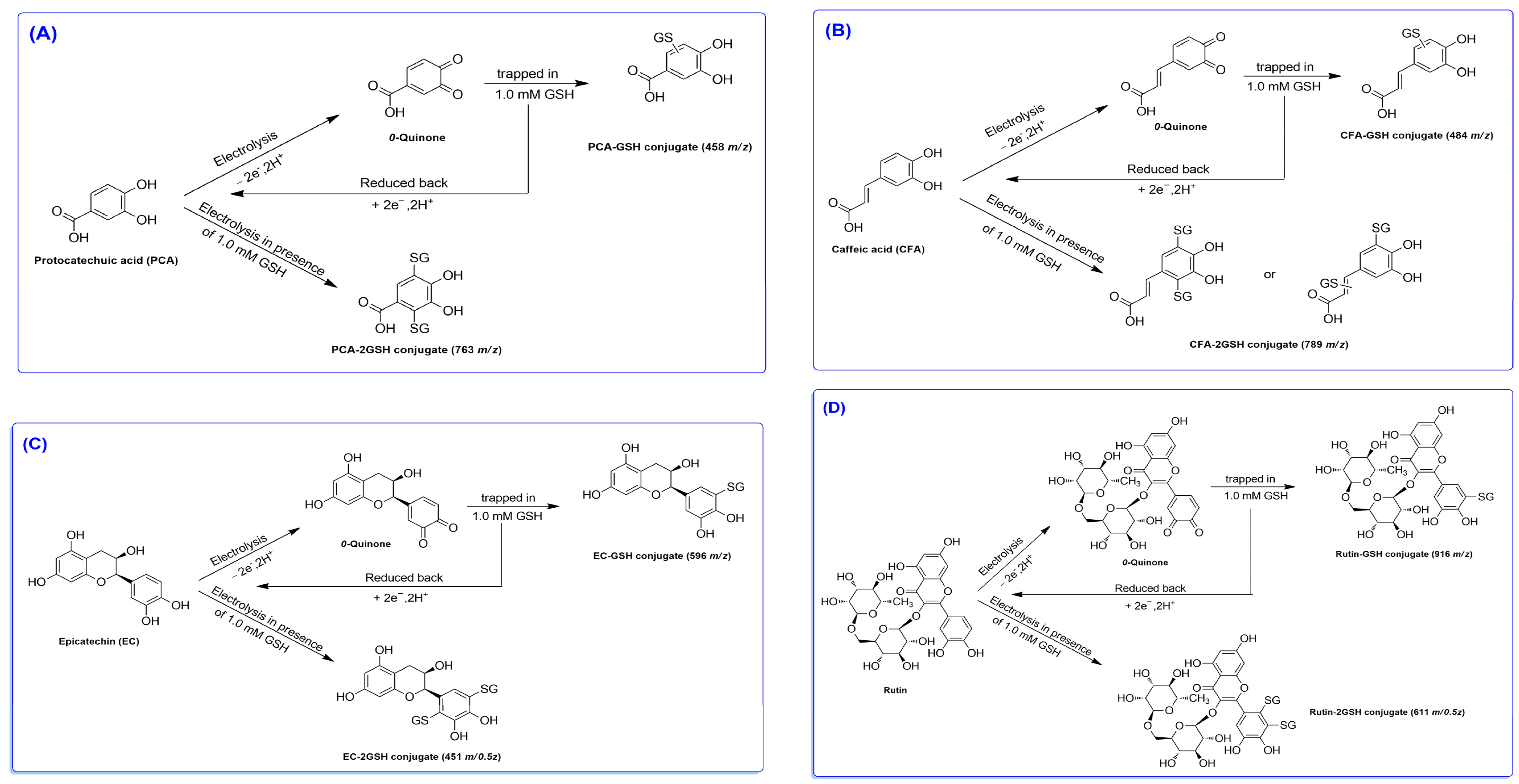 Antioxidants 12 01891 sch002
