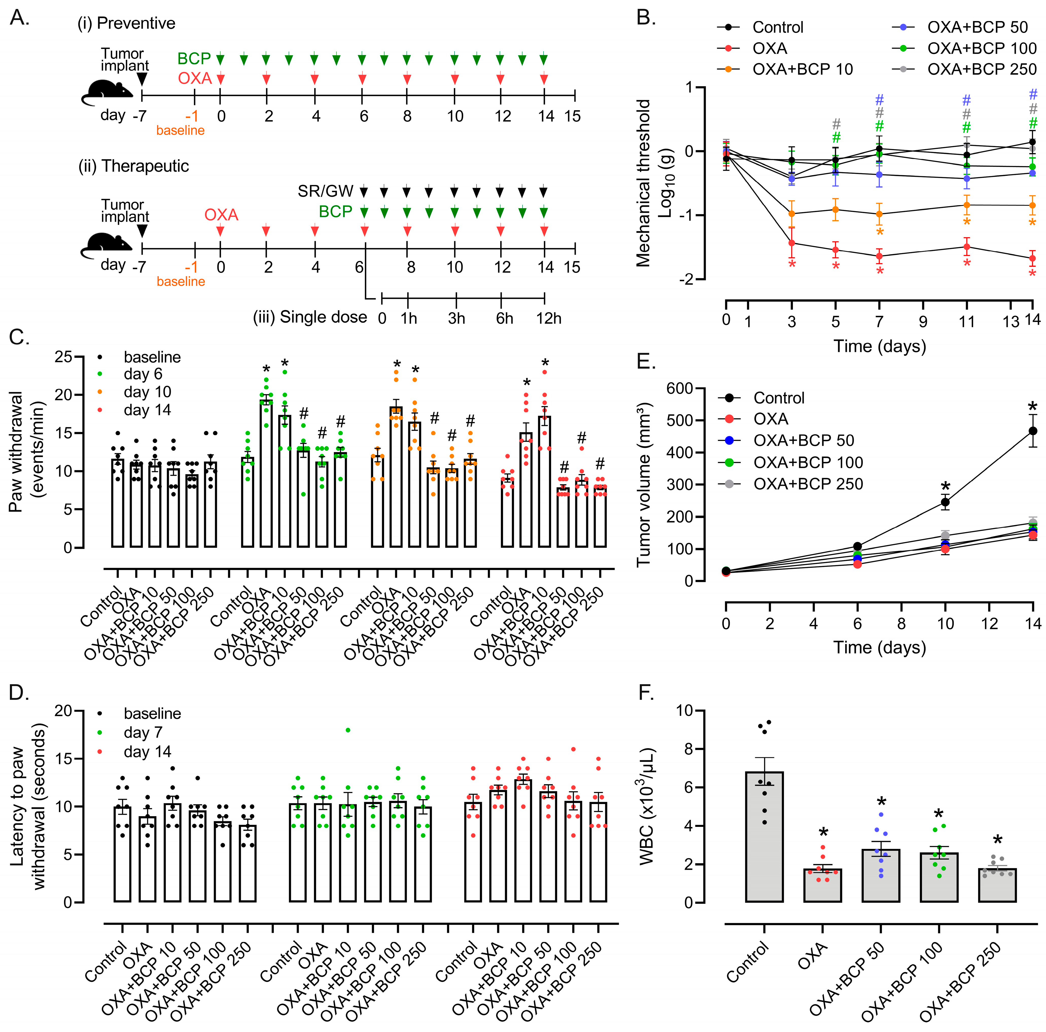Antioxidants 12 01893 g001