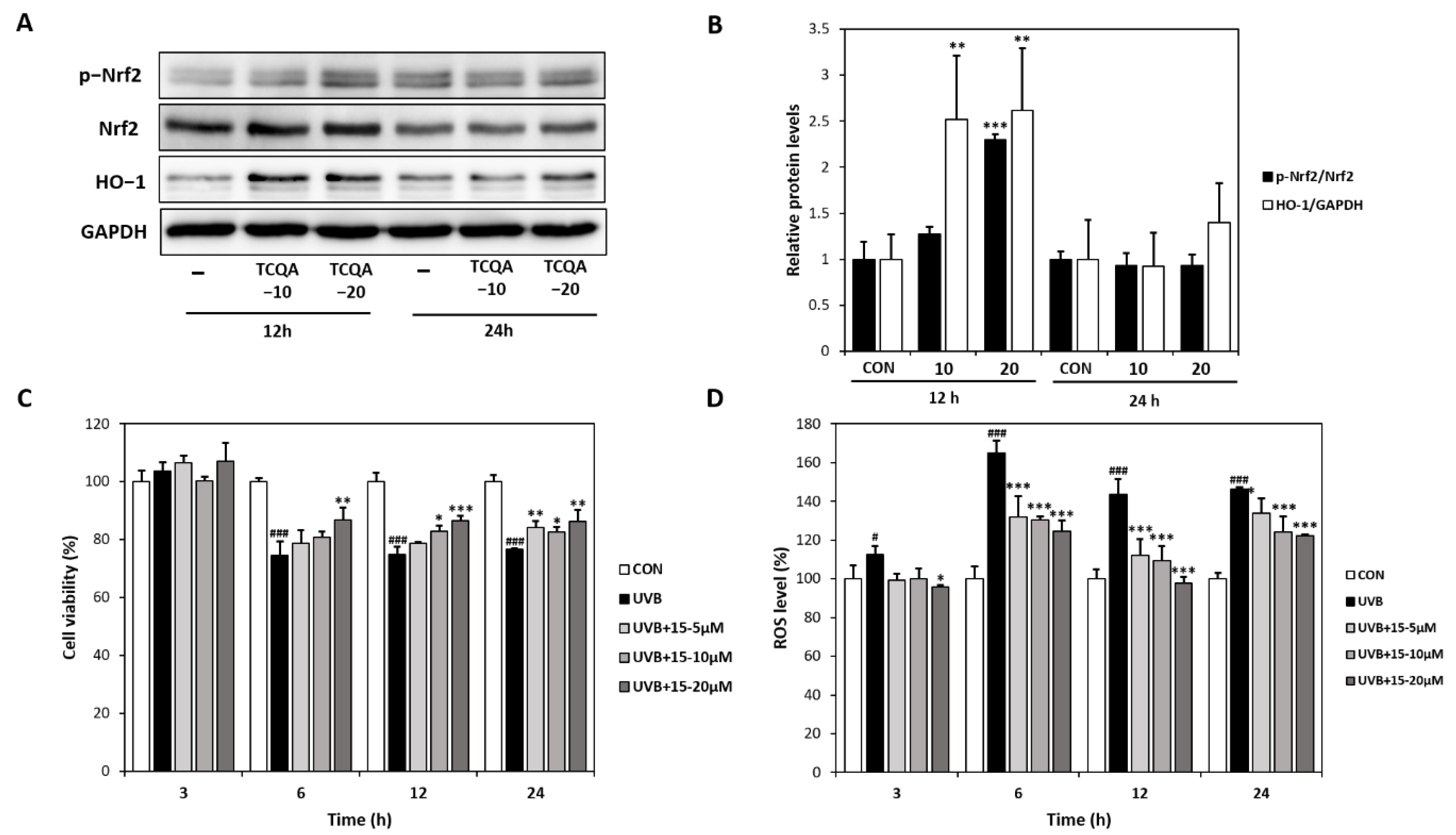 Antioxidants 12 01899 g004