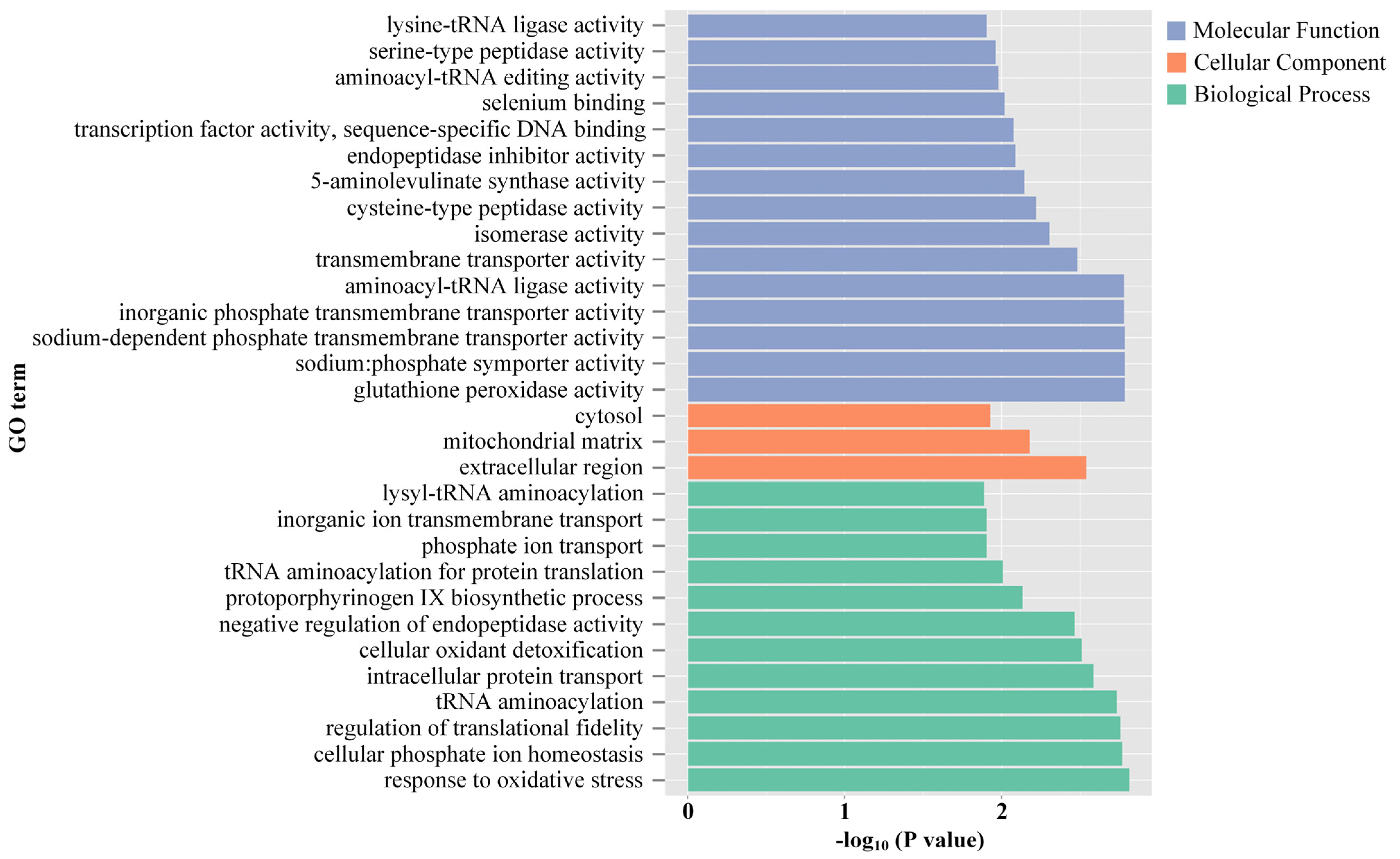 Antioxidants 12 01901 g008