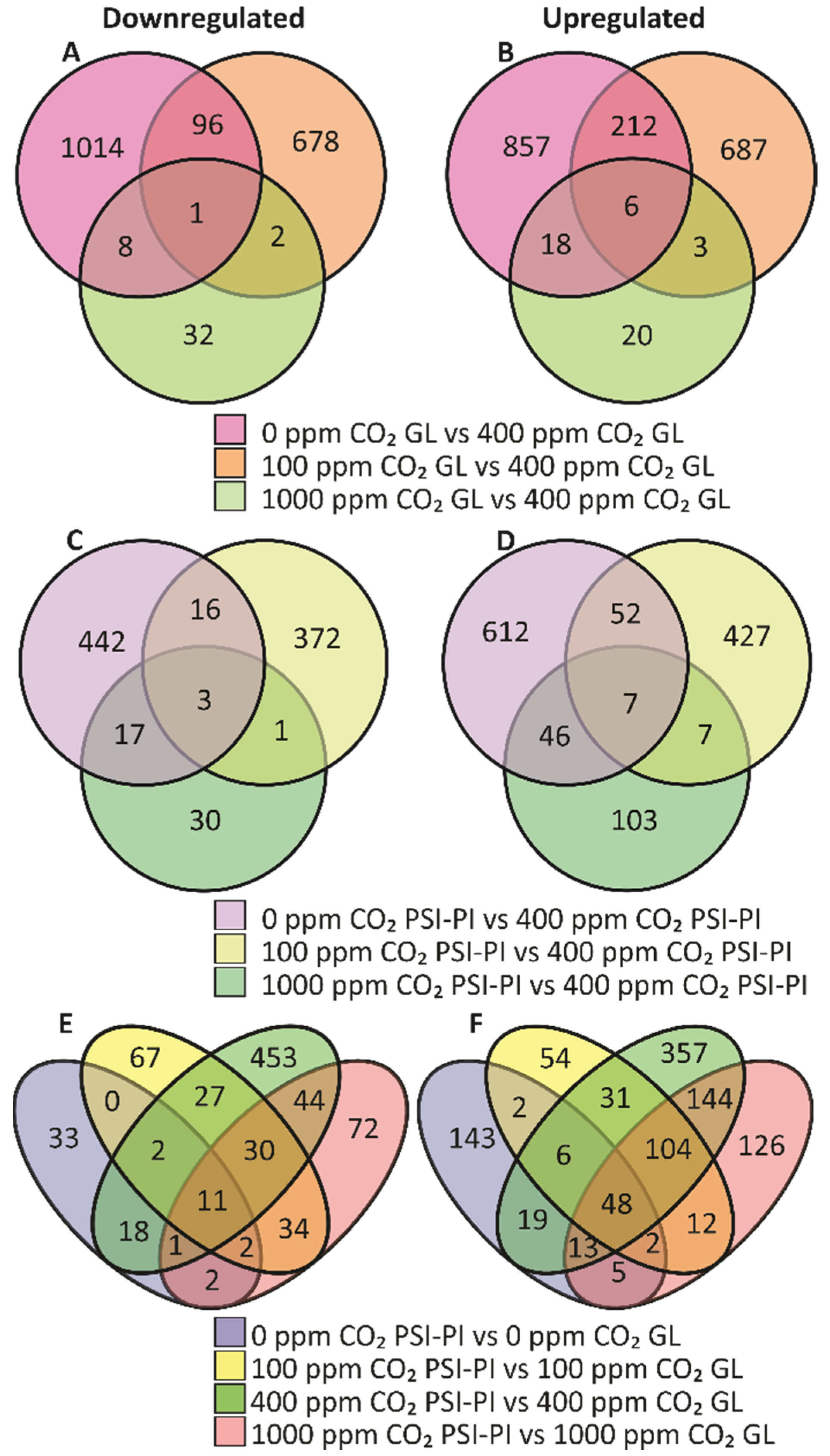 Antioxidants 12 01902 g005