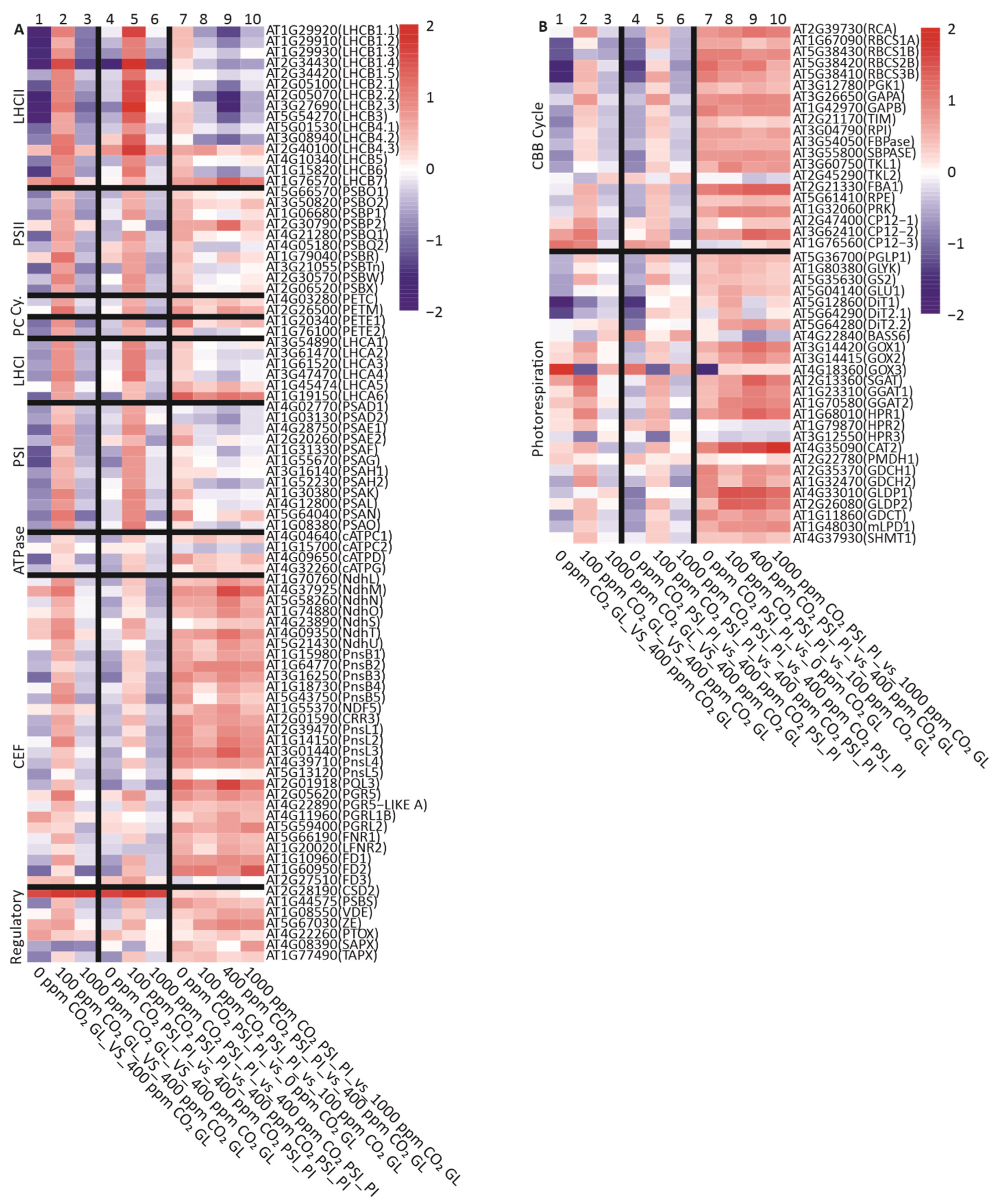 Antioxidants 12 01902 g006