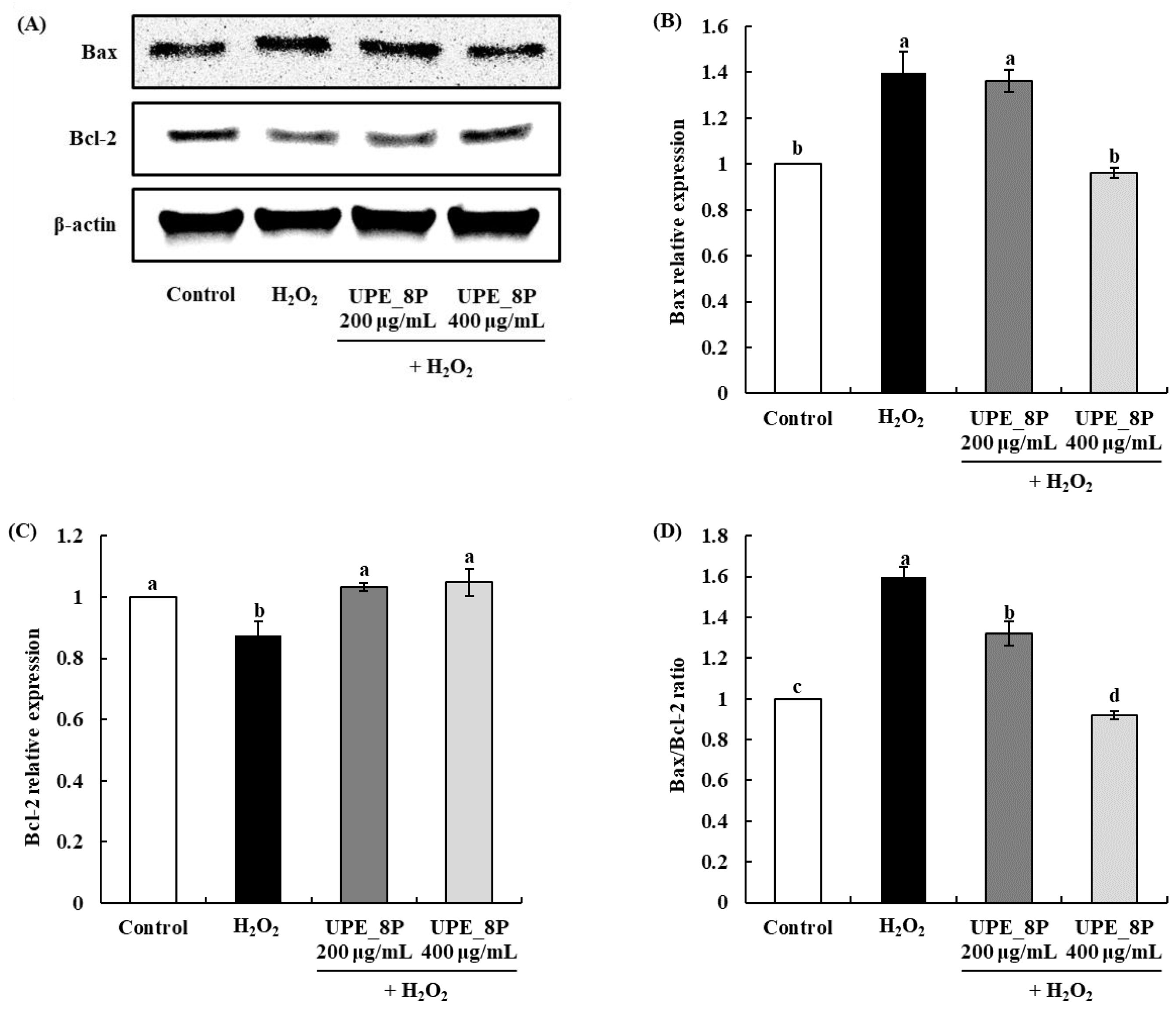 Antioxidants 12 01904 g005