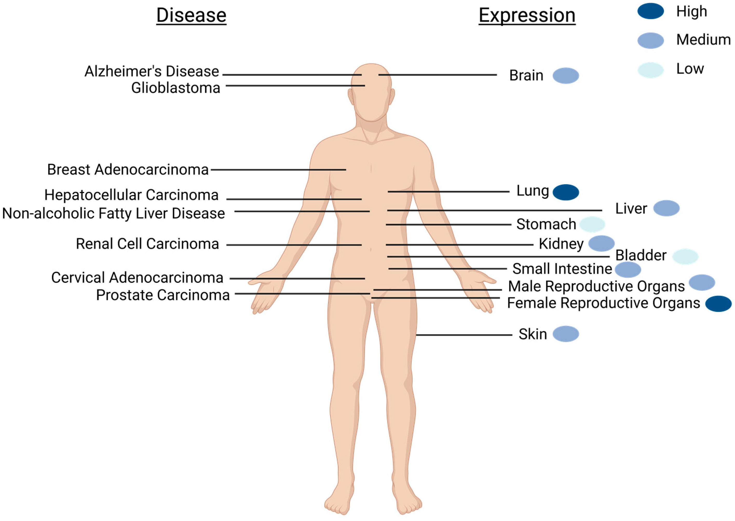 Antioxidants 12 01906 g001