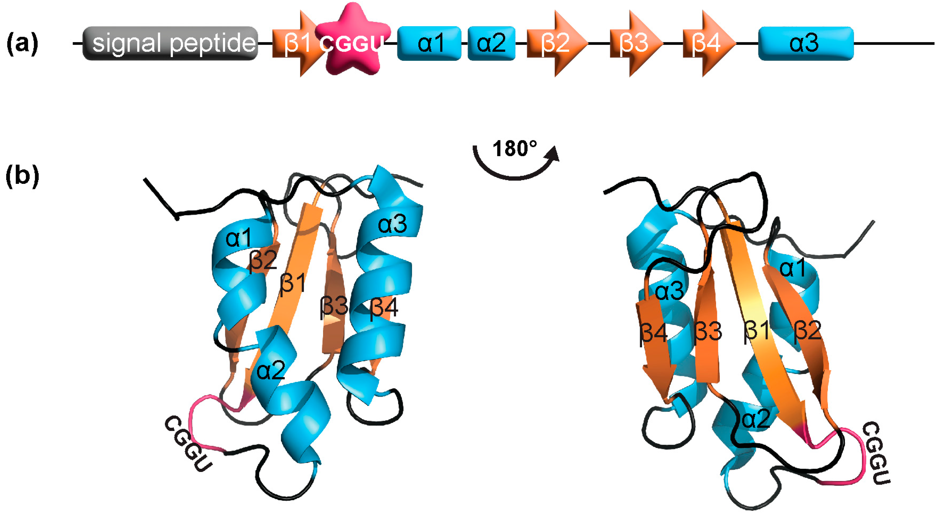 Antioxidants 12 01906 g003