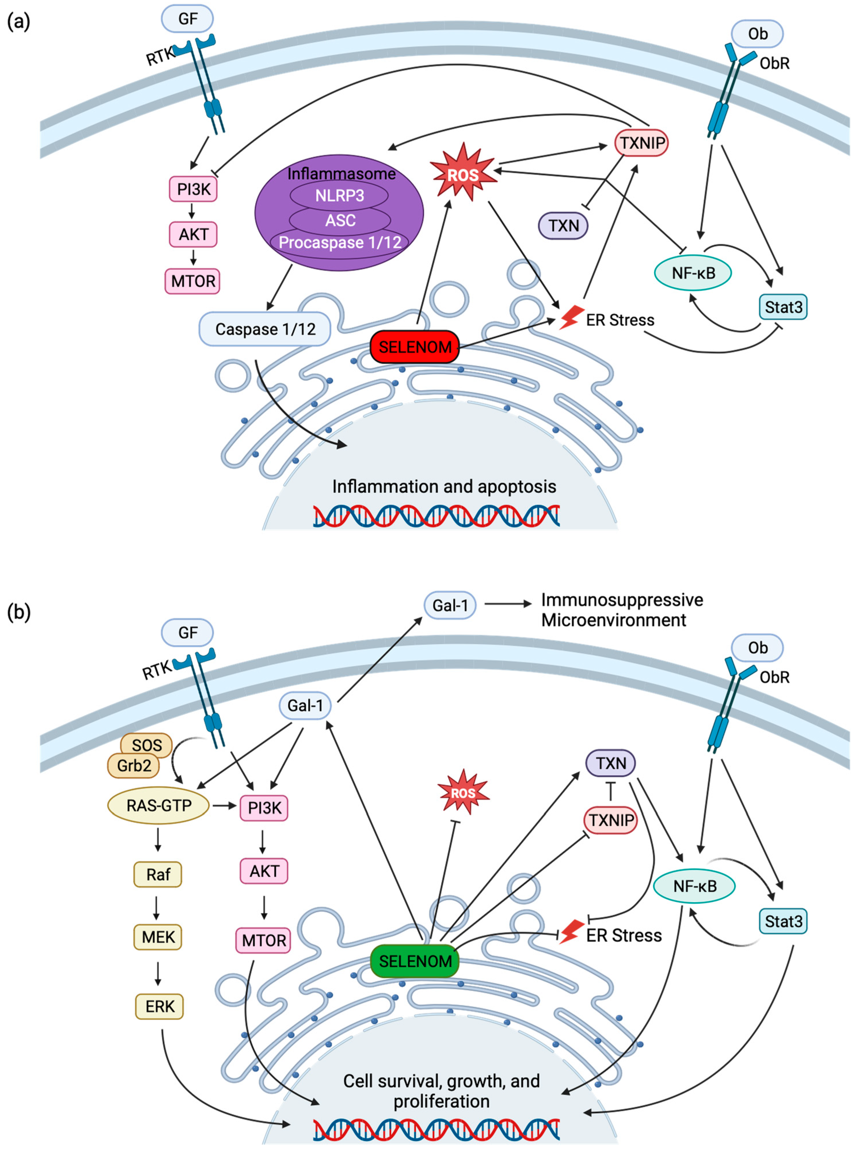 Antioxidants 12 01906 g004