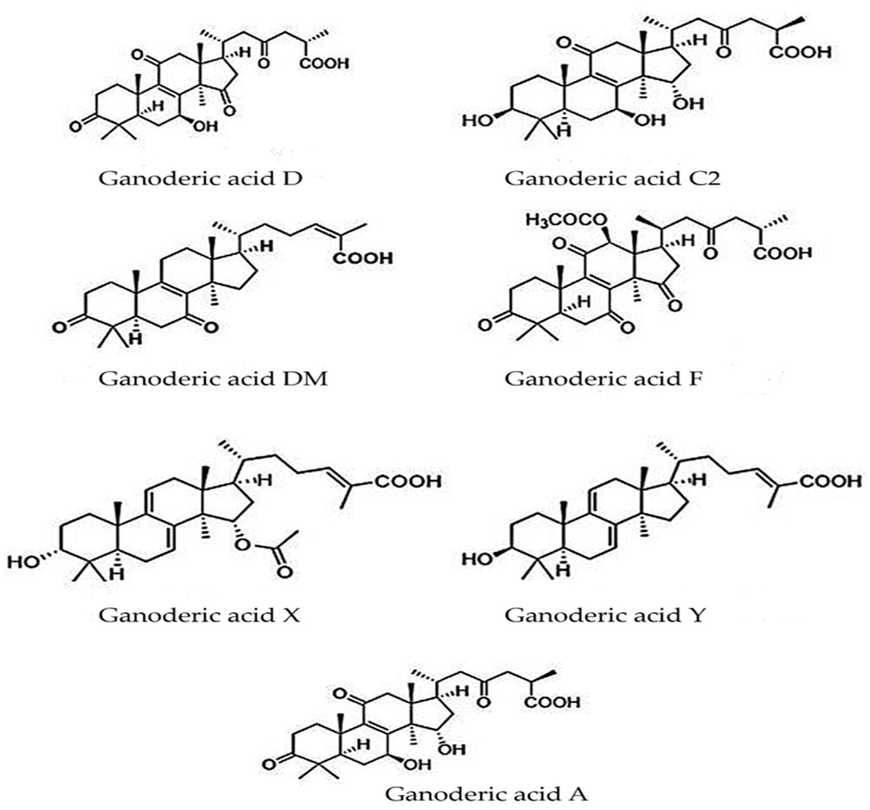 Antioxidants 12 01907 g007
