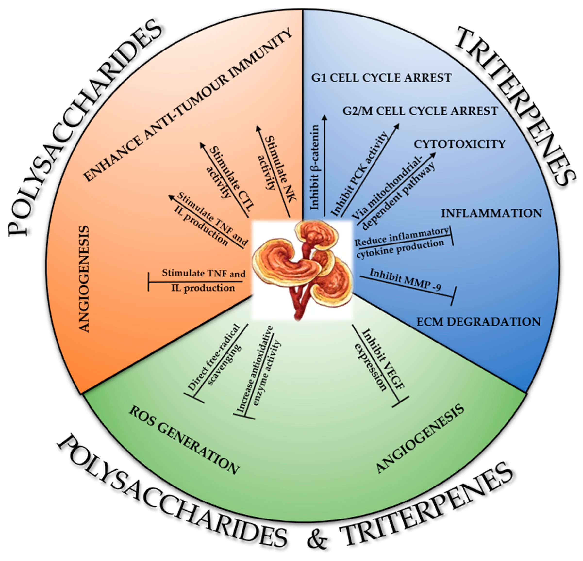 Antioxidants 12 01907 g009