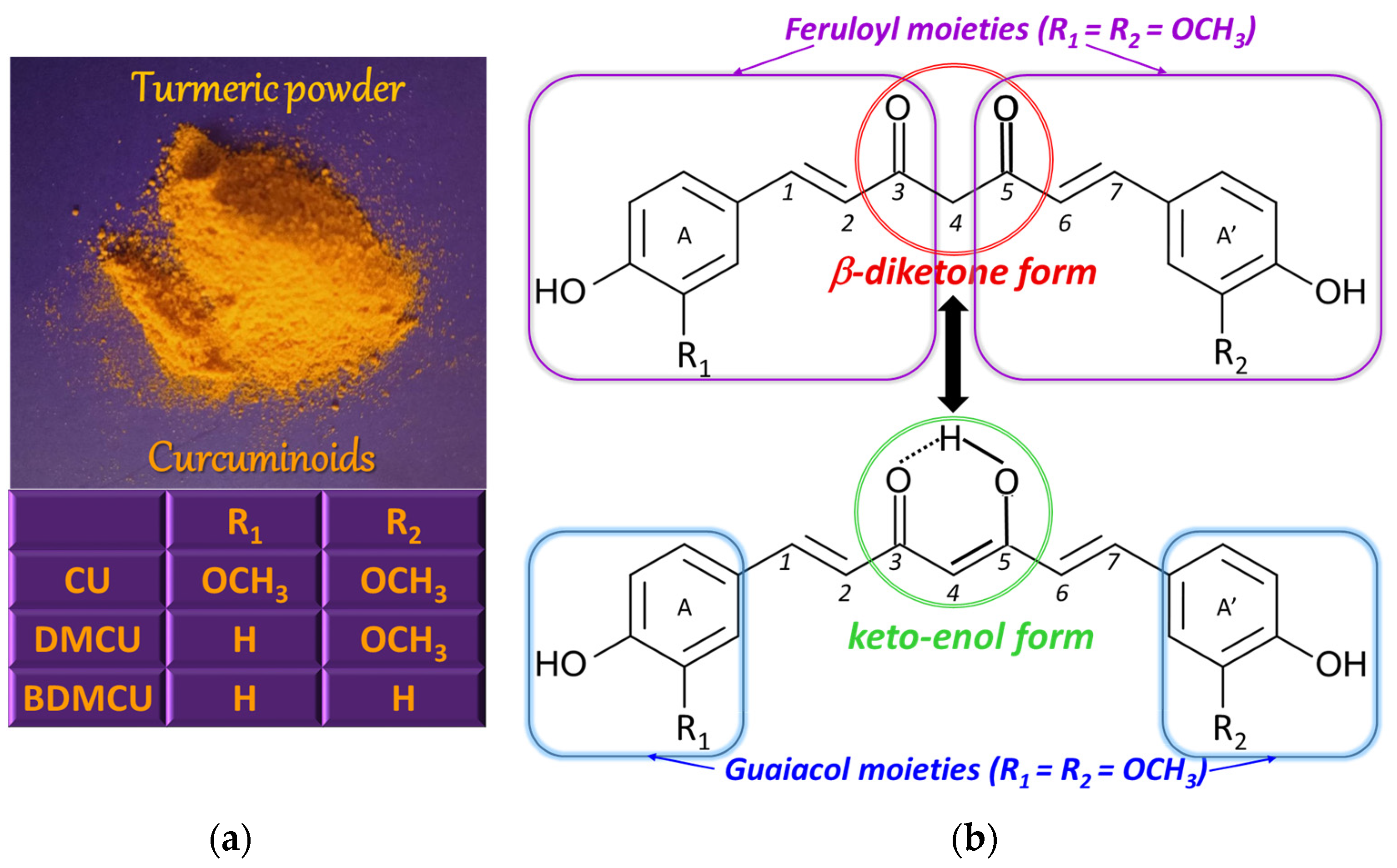 Antioxidants 12 01908 g001