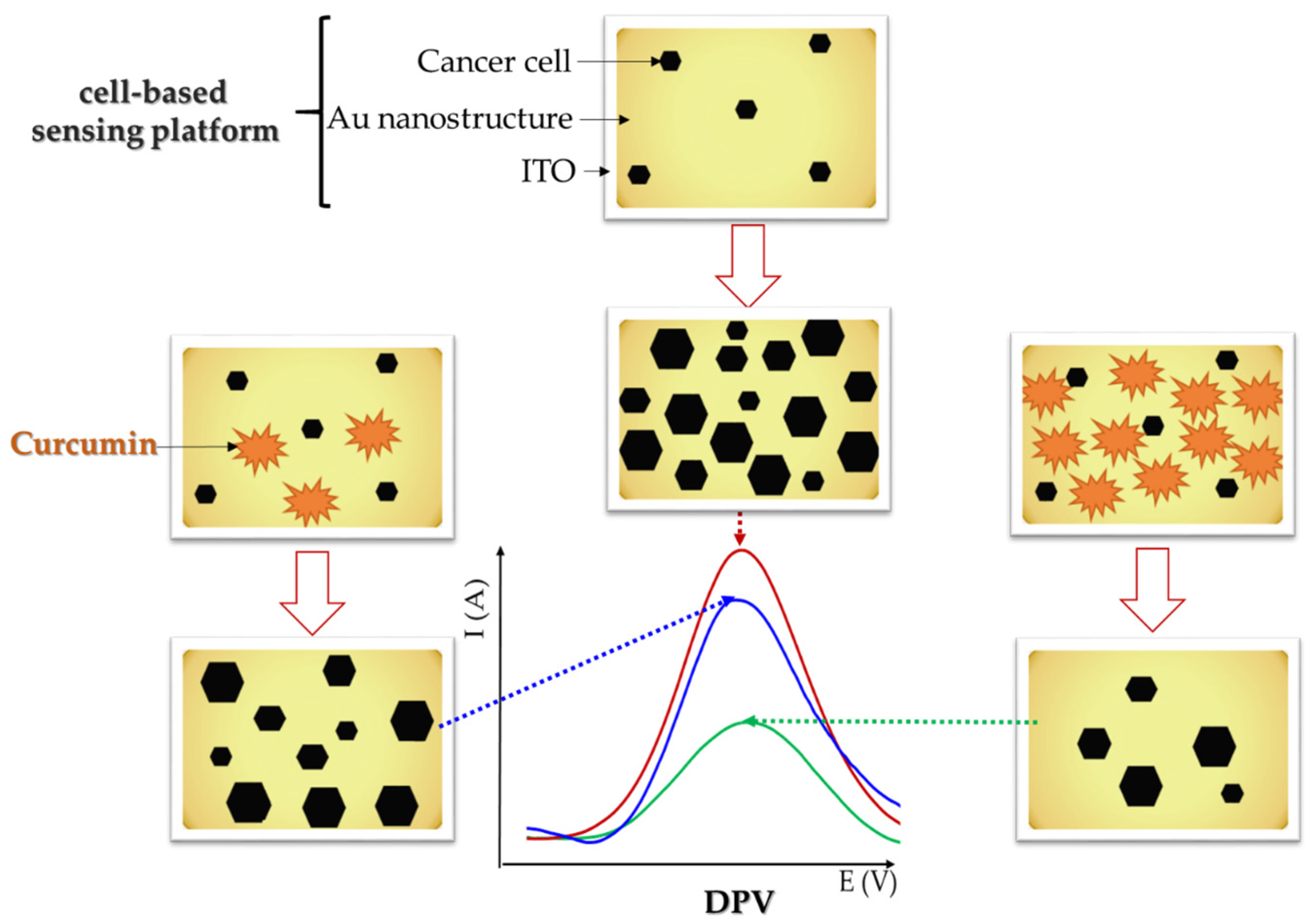 Antioxidants 12 01908 g005