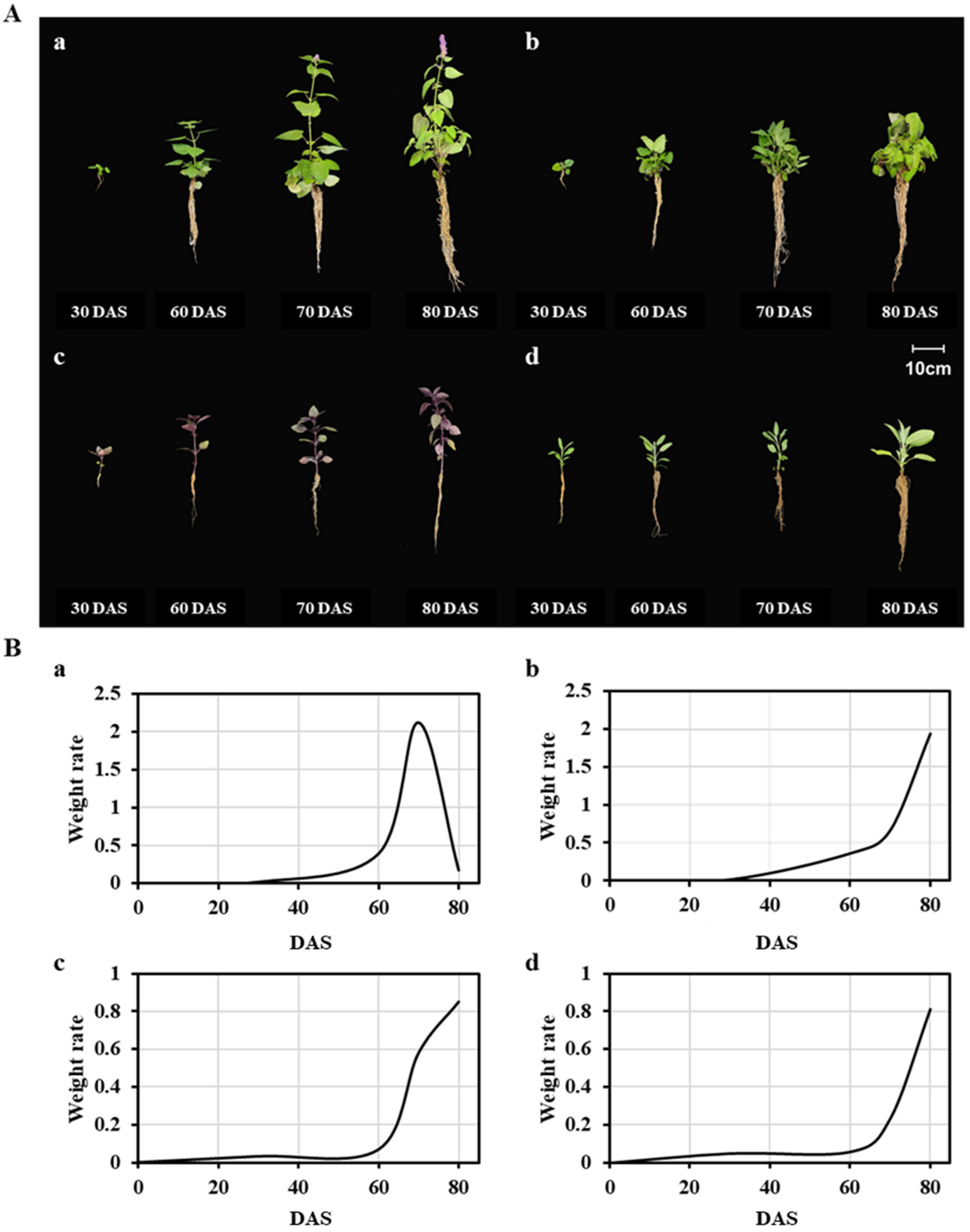 Antioxidants 12 01909 g001 Antioxidants 12 01909 g001