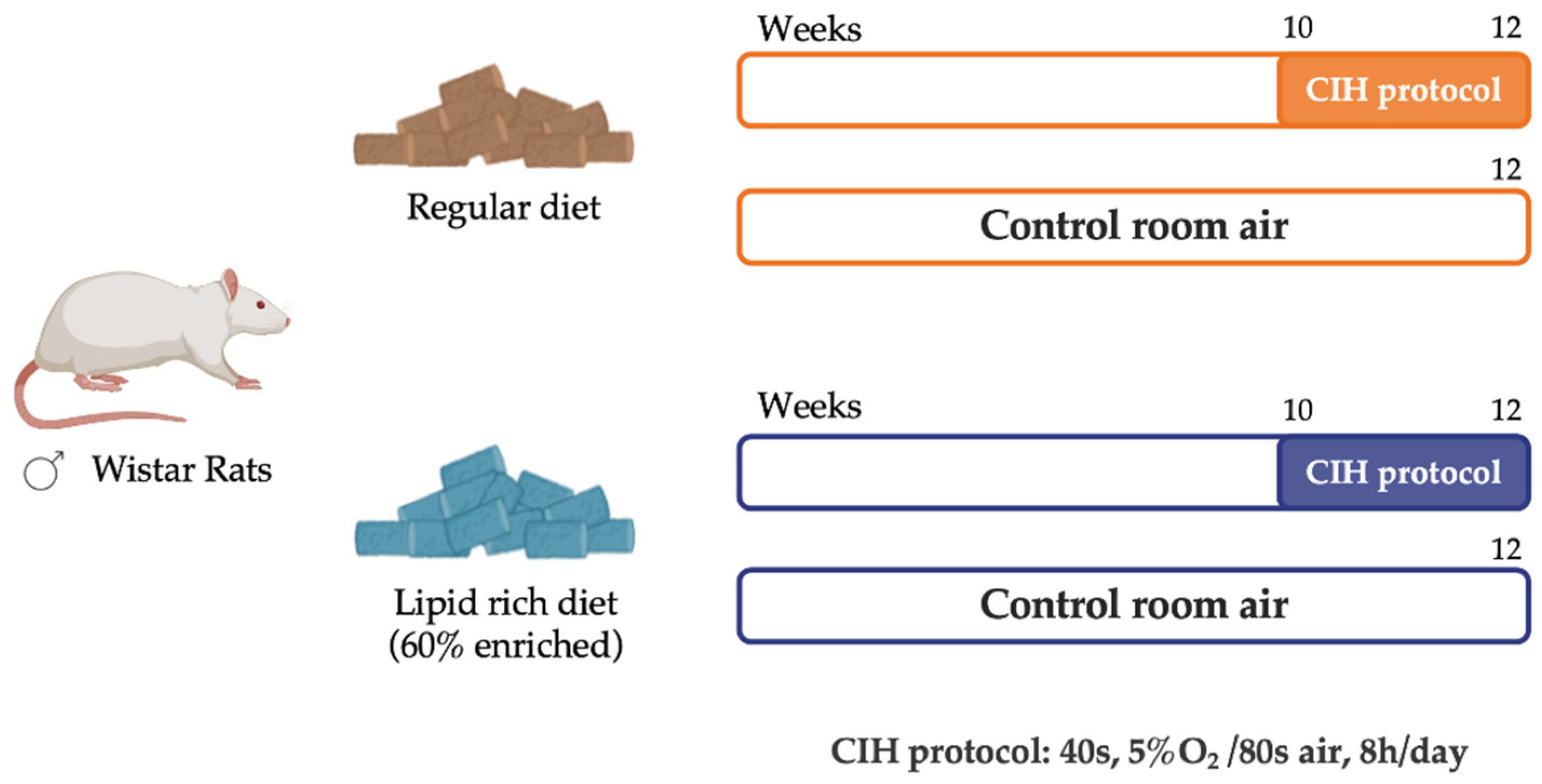 Antioxidants 12 01910 g001