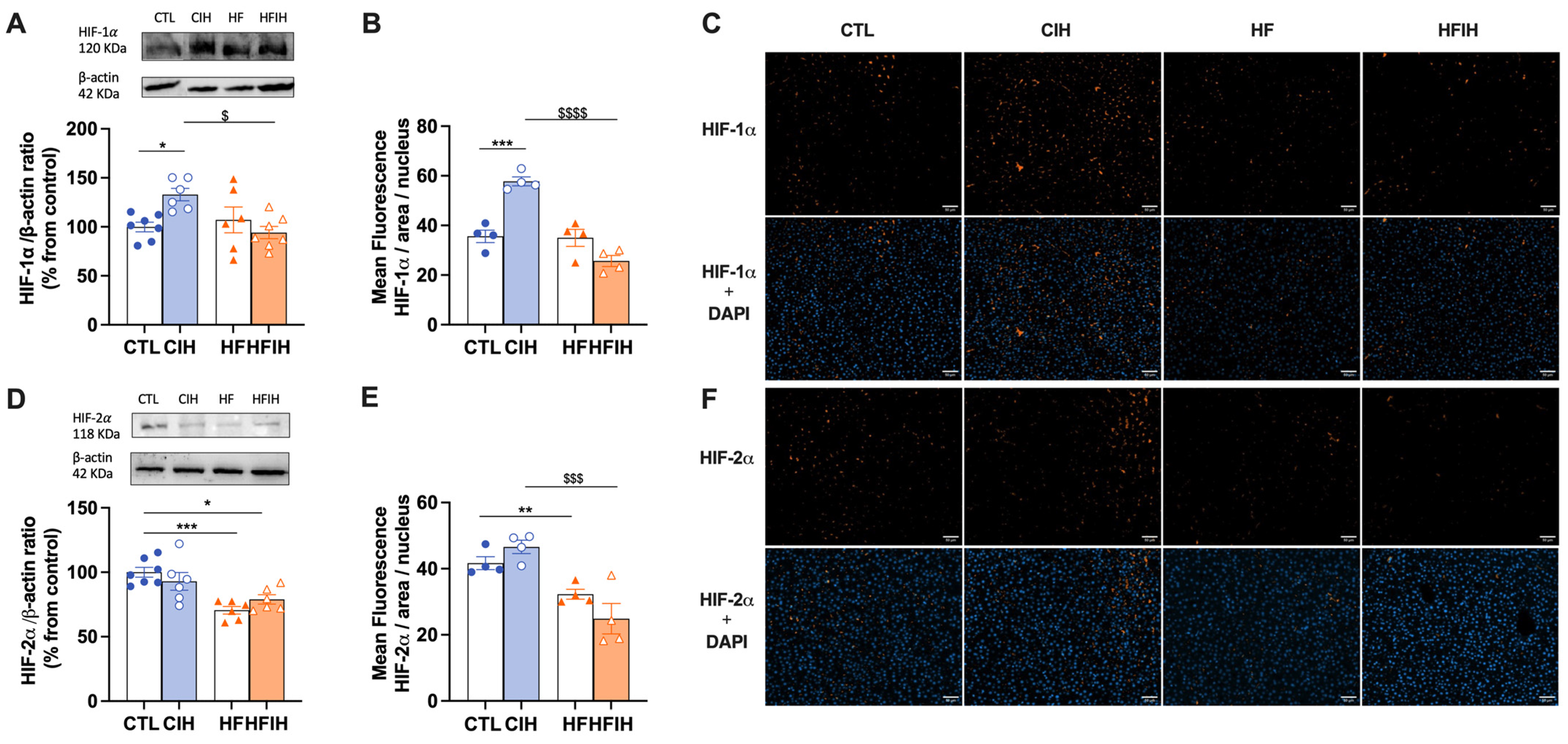 Antioxidants 12 01910 g003