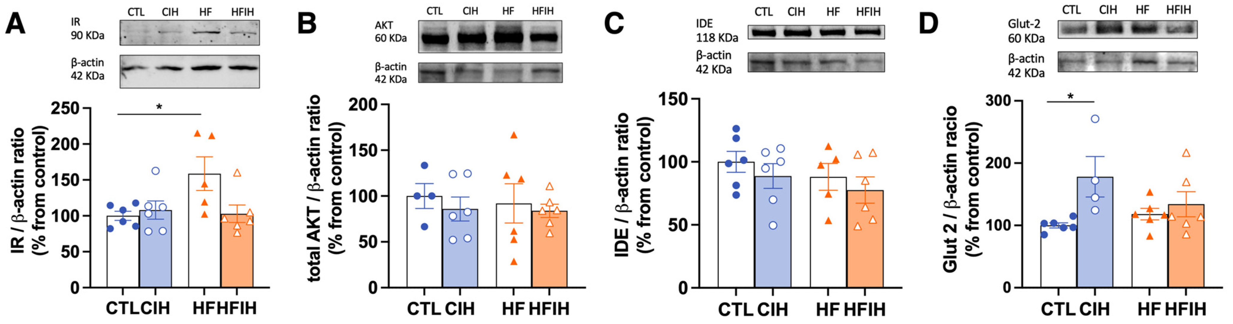 Antioxidants 12 01910 g004