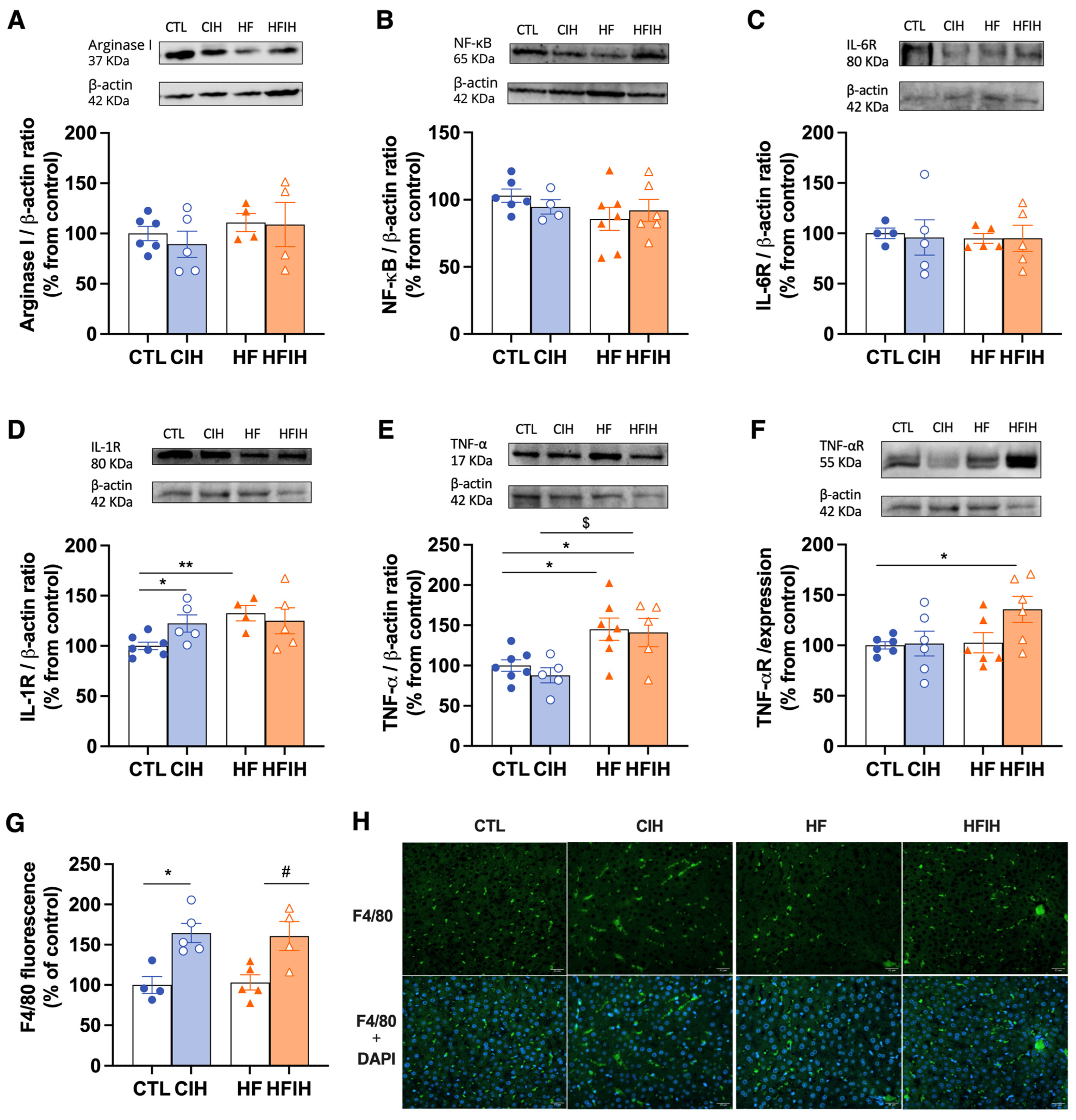 Antioxidants 12 01910 g007