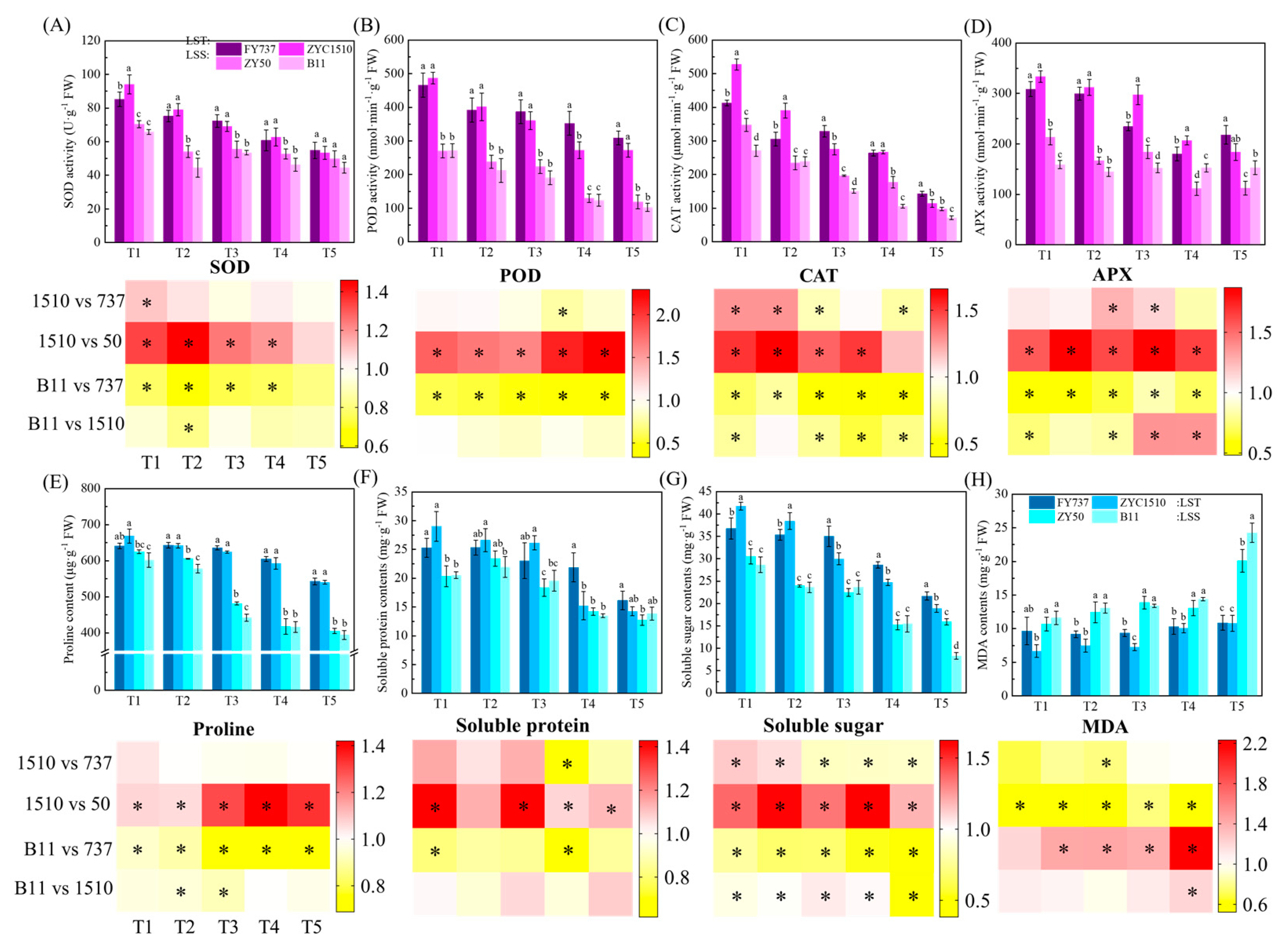 Antioxidants 12 01915 g005