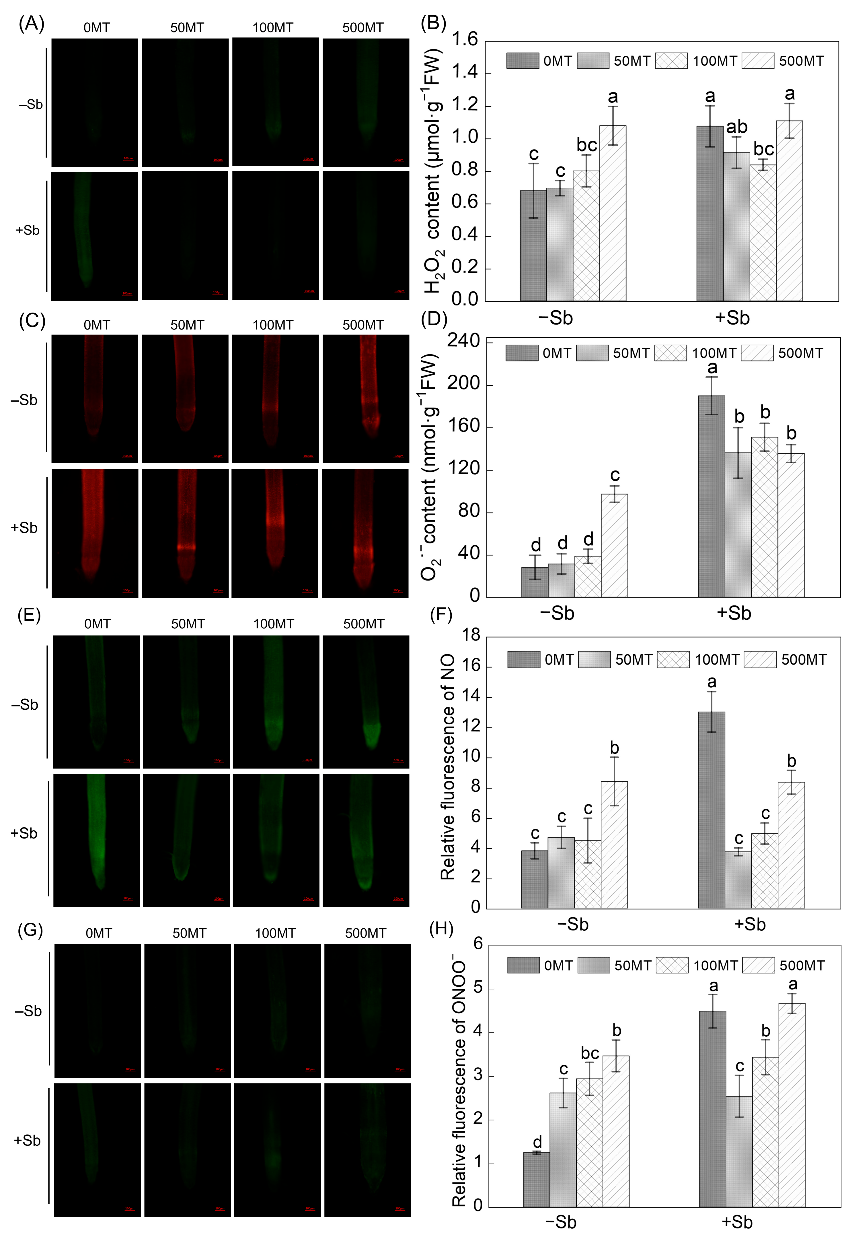 Antioxidants 12 01917 g003
