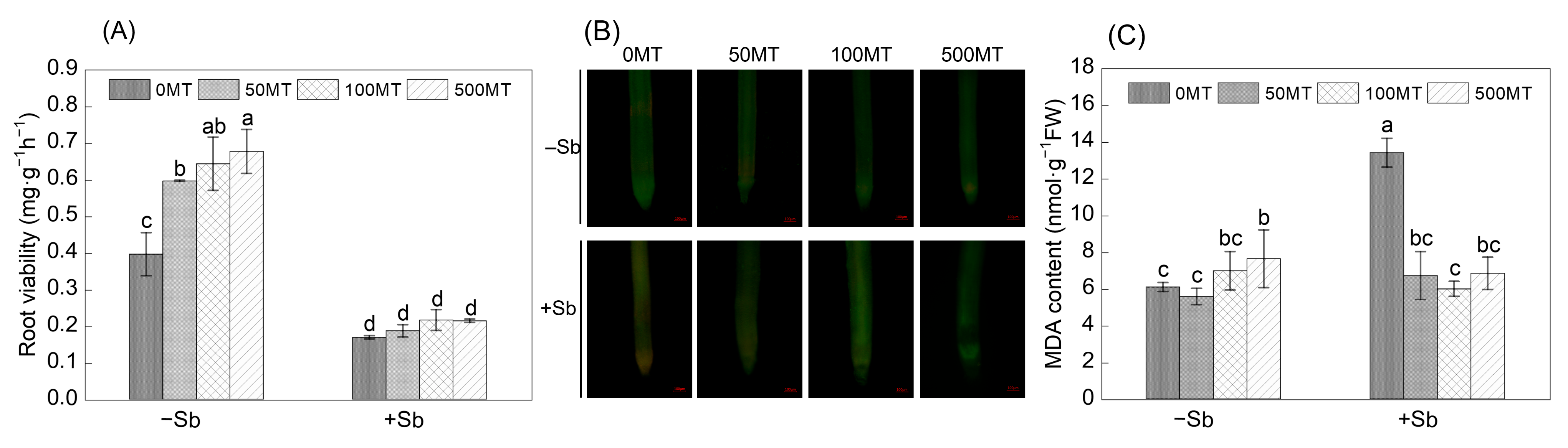Antioxidants 12 01917 g004