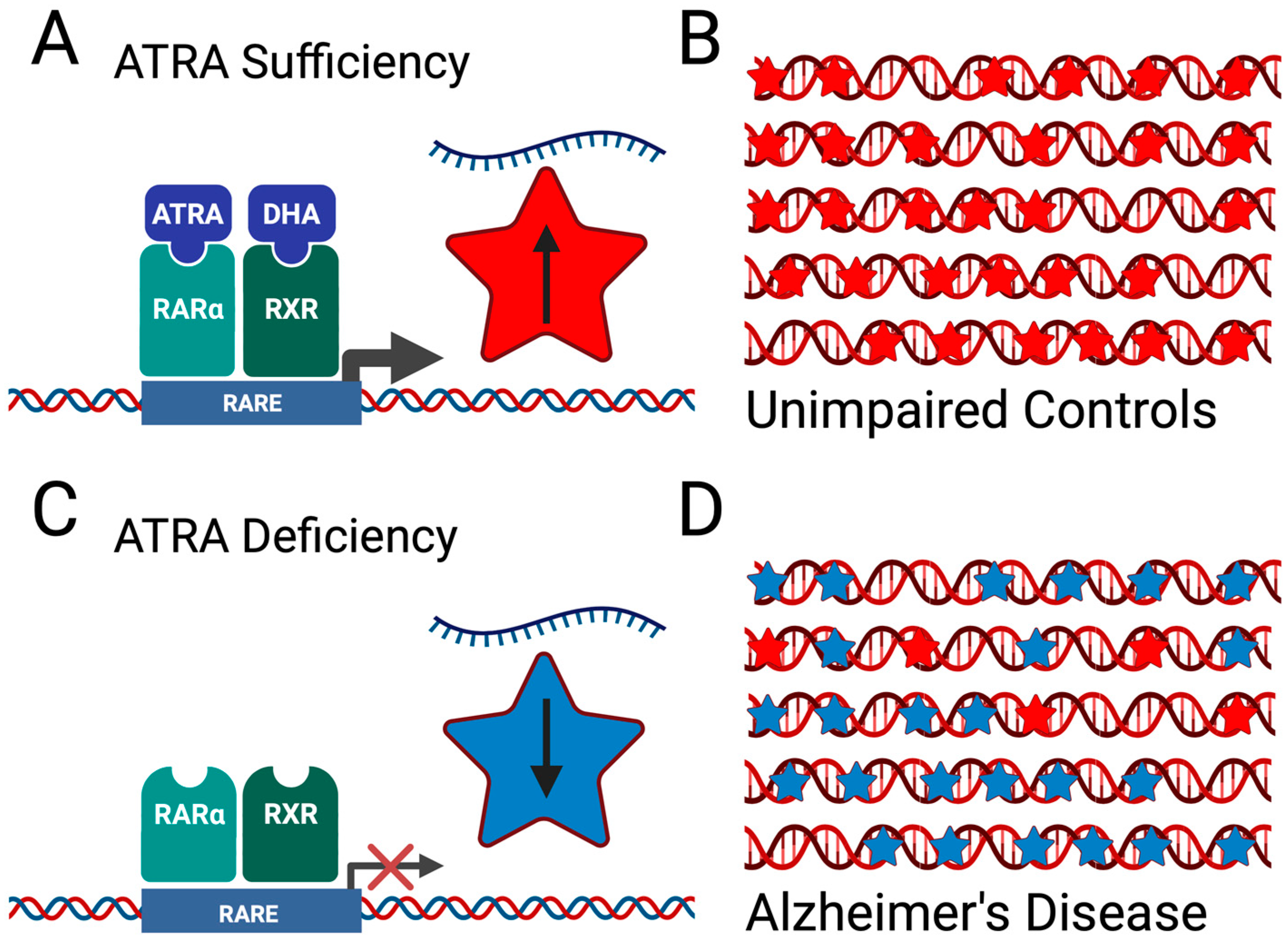 Antioxidants 12 01921 g002