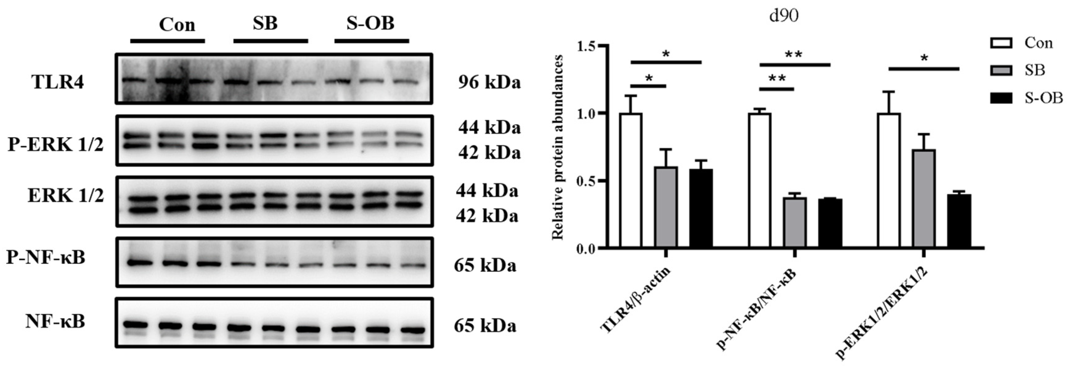 Antioxidants 12 01926 g006